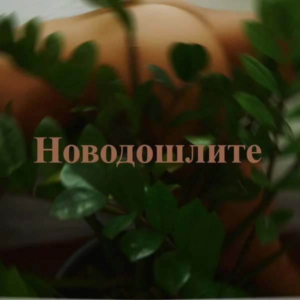 Новодошлите