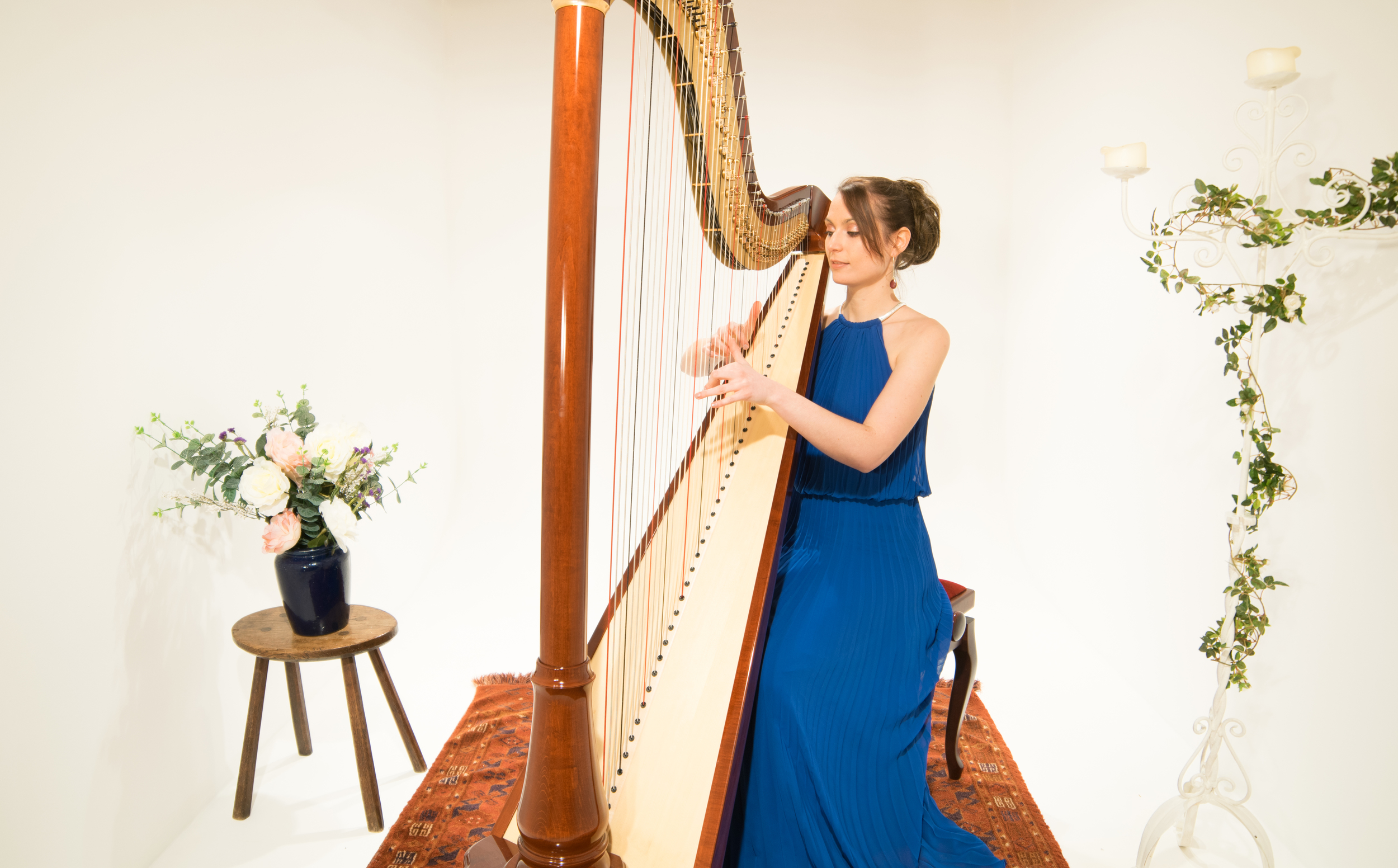 Harpist for hire.jpg