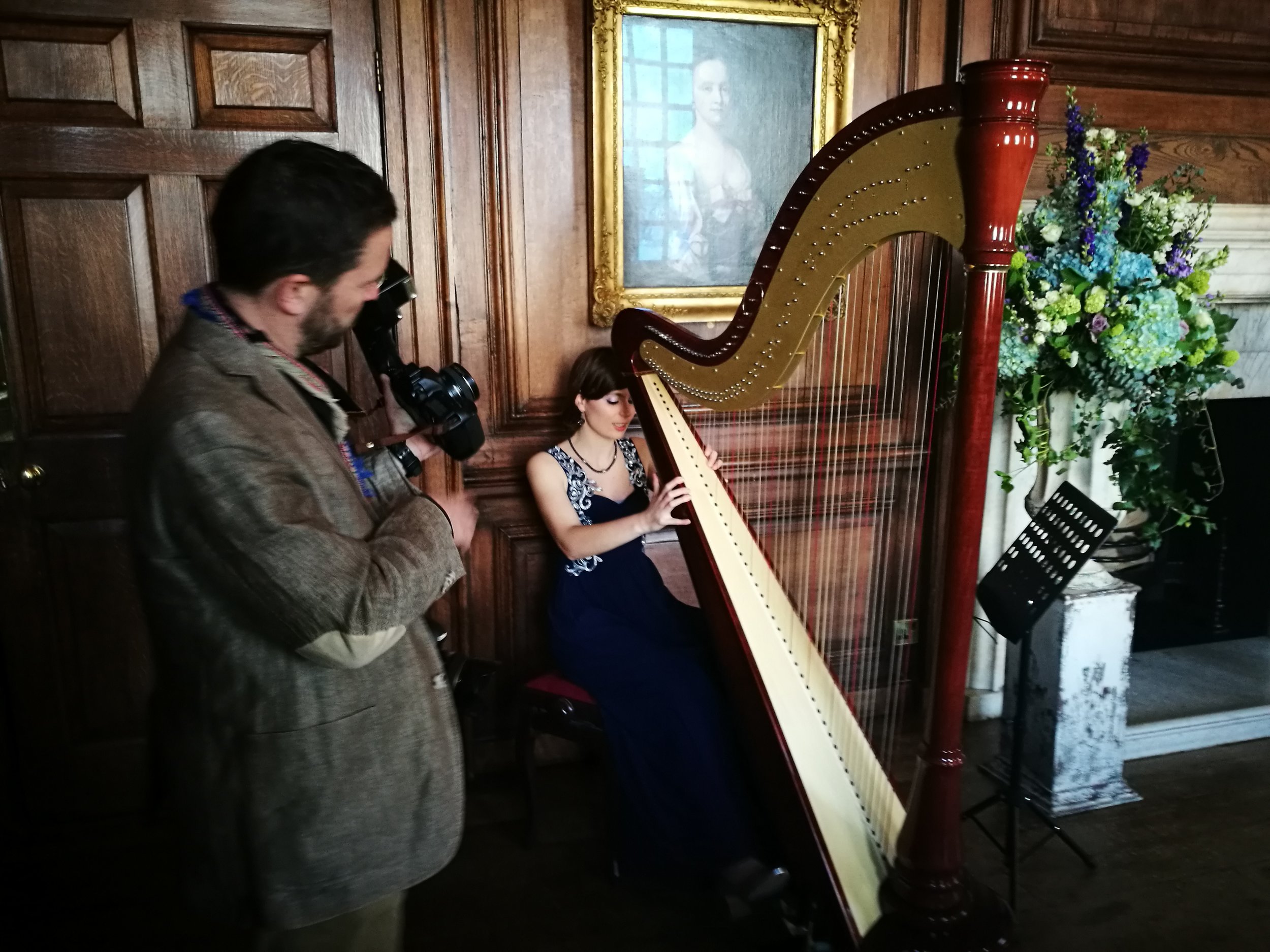 Wedding Harpist.jpg