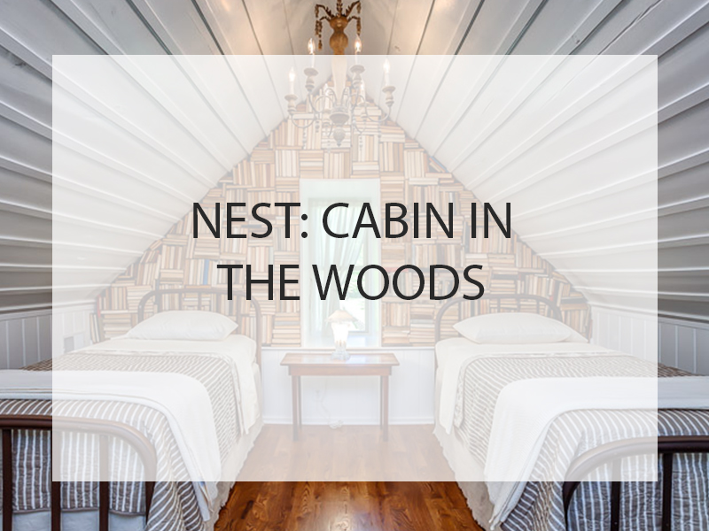 Nest: Cabin in the Woods