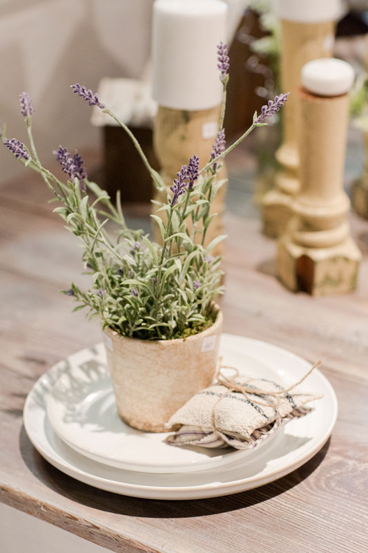 A pot of lavender siting on antique plates