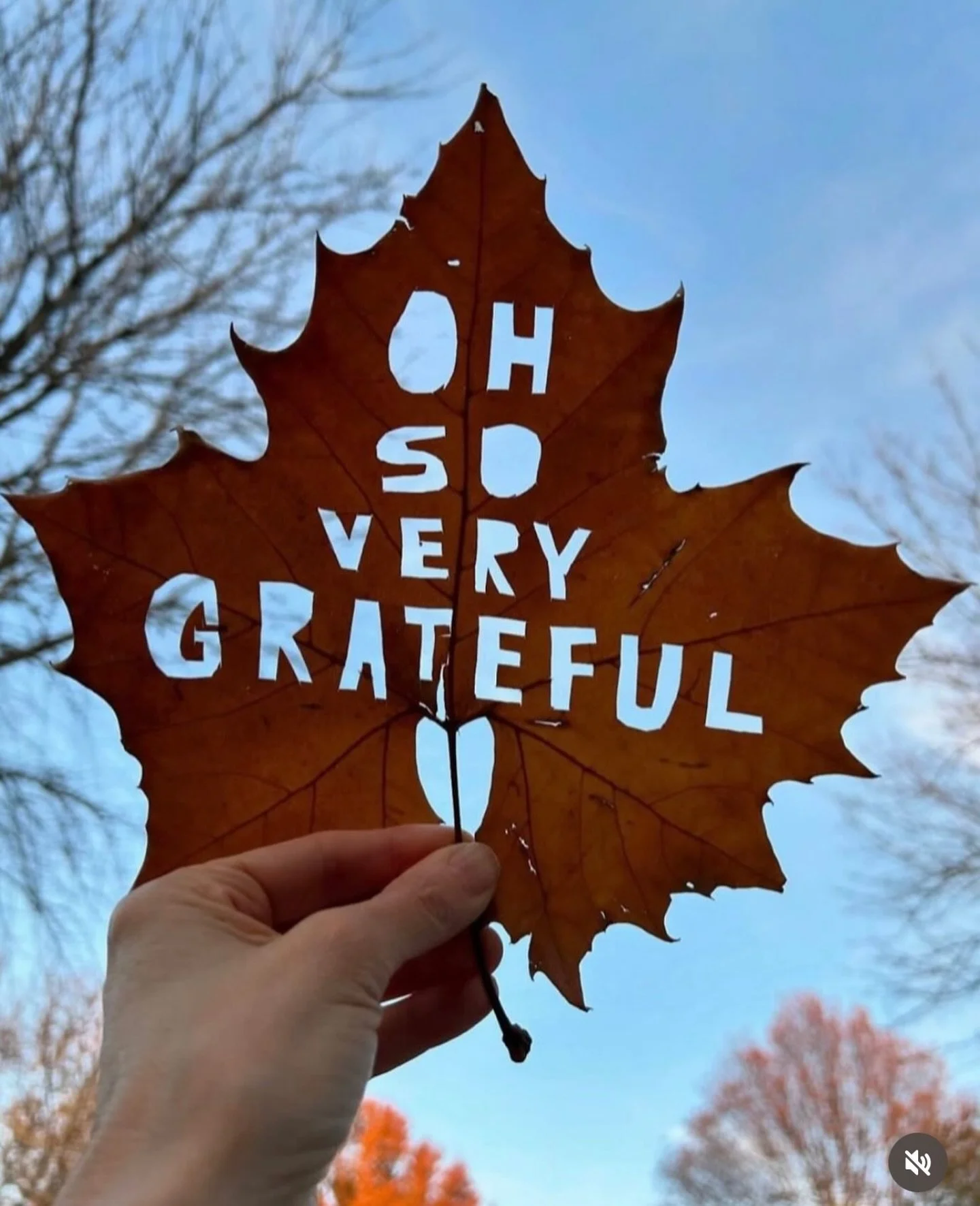 It&rsquo;s been a bit more than 2 weeks since the City Farmhouse Popup Fair. Bringing back the Fairs has been such a highlight of 2025 for me and David. Our vendors were amazing and I know all of you who came agree. The support and love you showed th