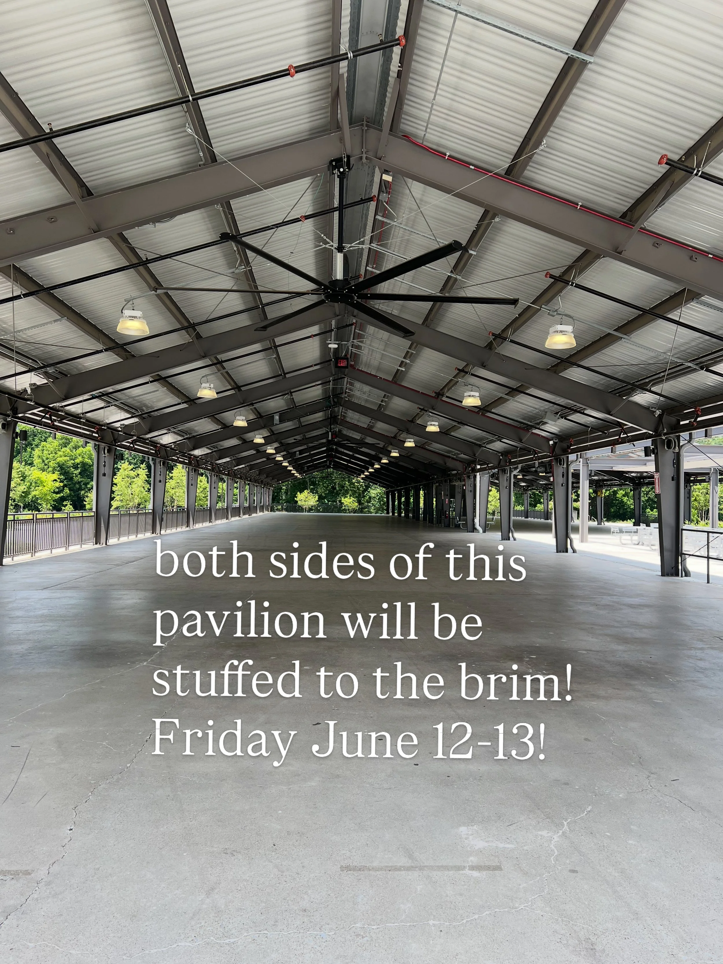 EXACTLY at this moment next Friday, this pavilion at Bicentennial Park in beautiful downtown Franklin, Tennessee will be overflowing with 43 vendors! I hope you have your ticket because this is one of the best curations ever! Truly something for ever