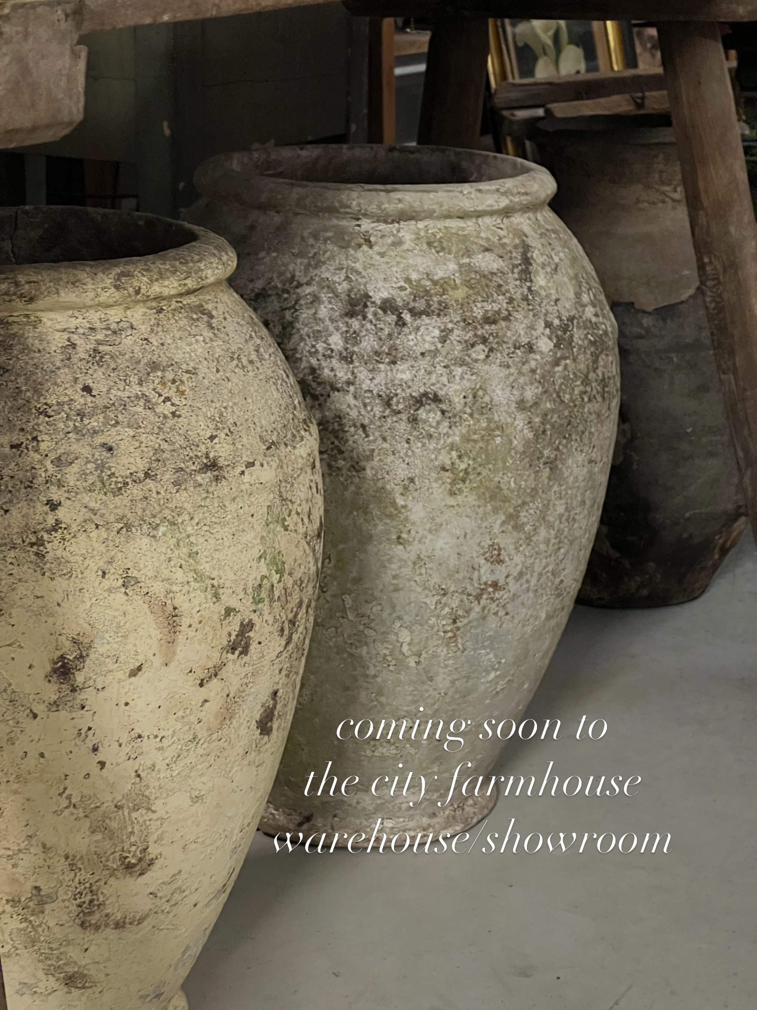 So excited for July to roll around! We have so many beautiful antique pieces for the discerning shopper. At the City Farmhouse warehouse/showroom. Follow along in stories too! 

#cityfarmhouse #frenchantiques #franklintn #nashvilletn