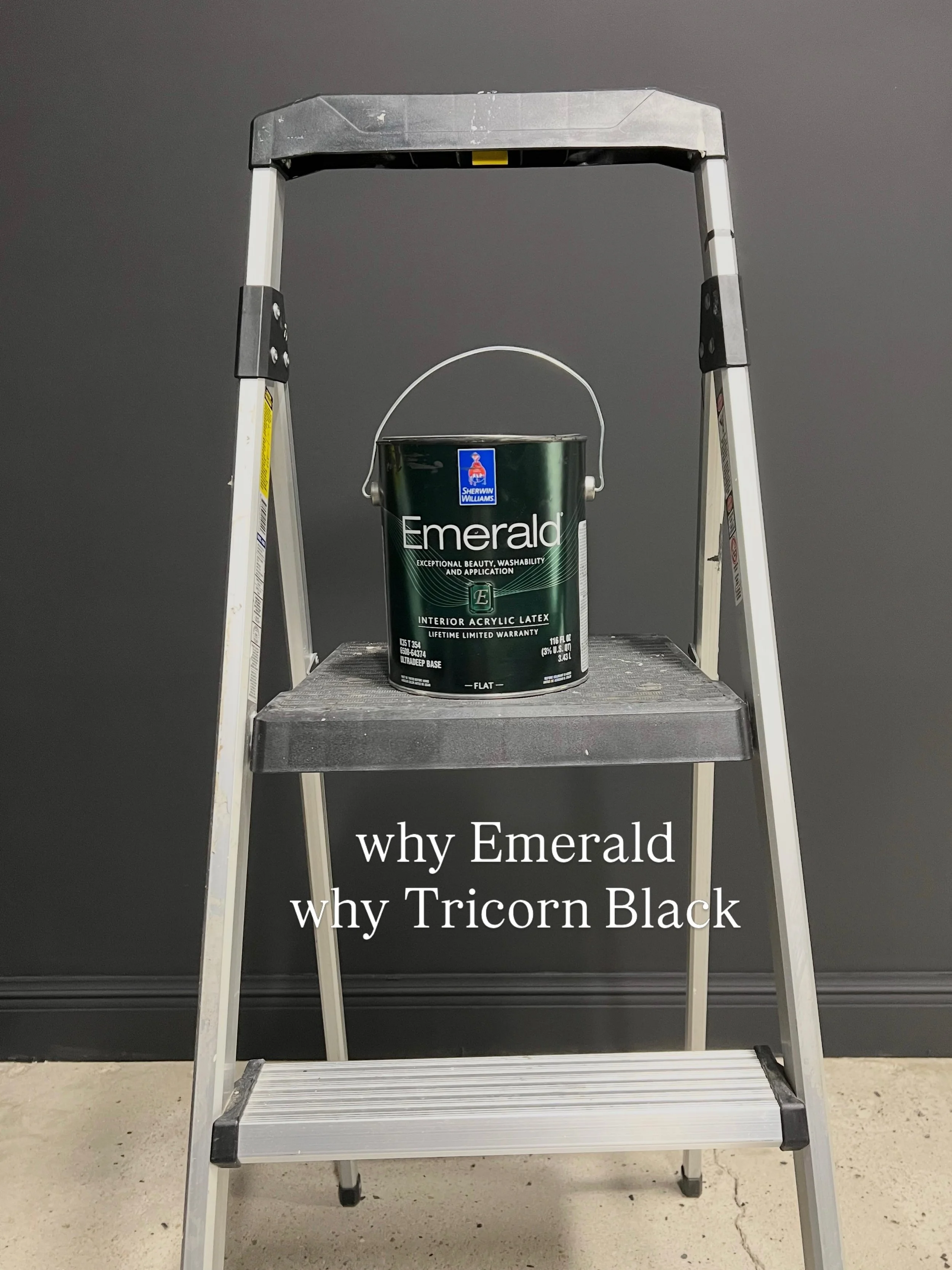 Why Emerald .. Sherwin Williams Emerald is top tier in the brand&rsquo;s paint line. It&rsquo;s very durable and now comes in flat! 🎉 I love that the paint has a depth about it that you can actually see, no matter the color. And coverage is outstand