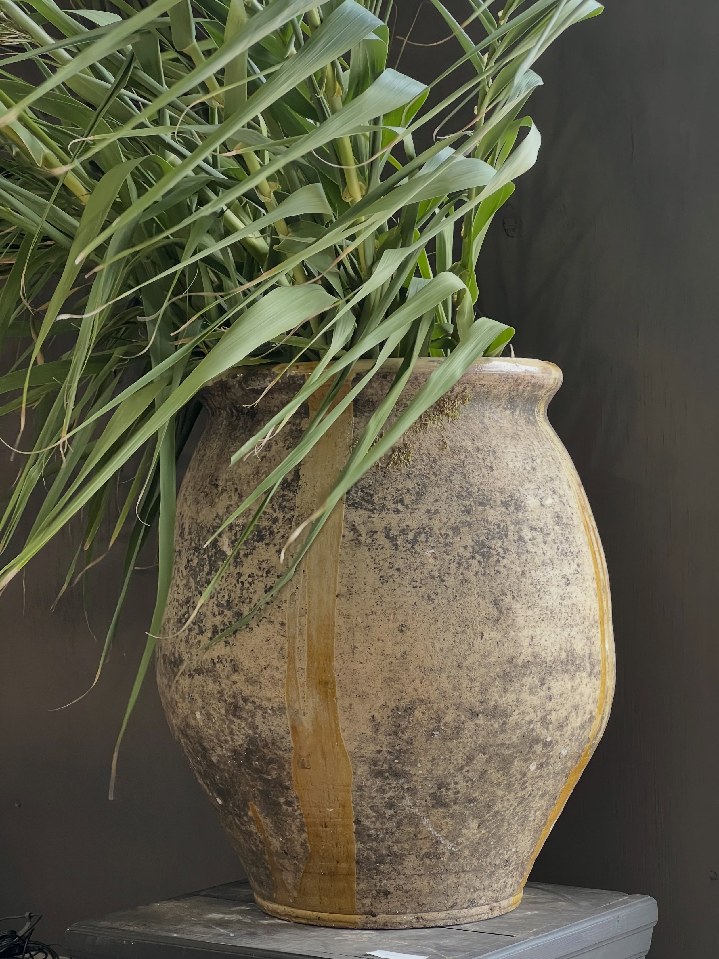 The pickin has been amazing today! A favorite monumental (it&rsquo;s huge) at least 200 year old Marseilles jar! These jars are stunning and the prices vary greatly from venue to venue. I&rsquo;ve wanted to bring one back for you the minute I laid ey