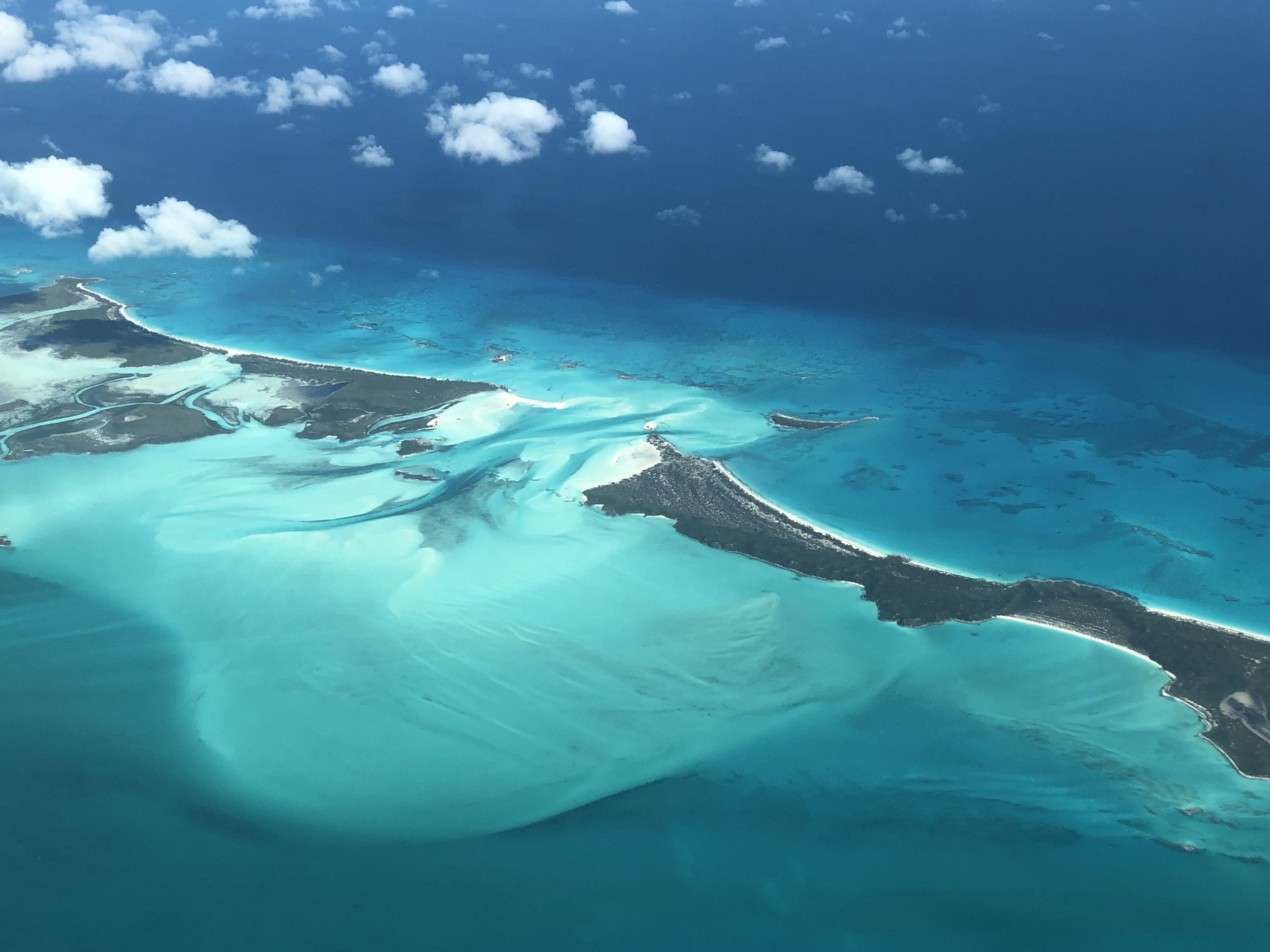 GMS_Bahamas.jpeg