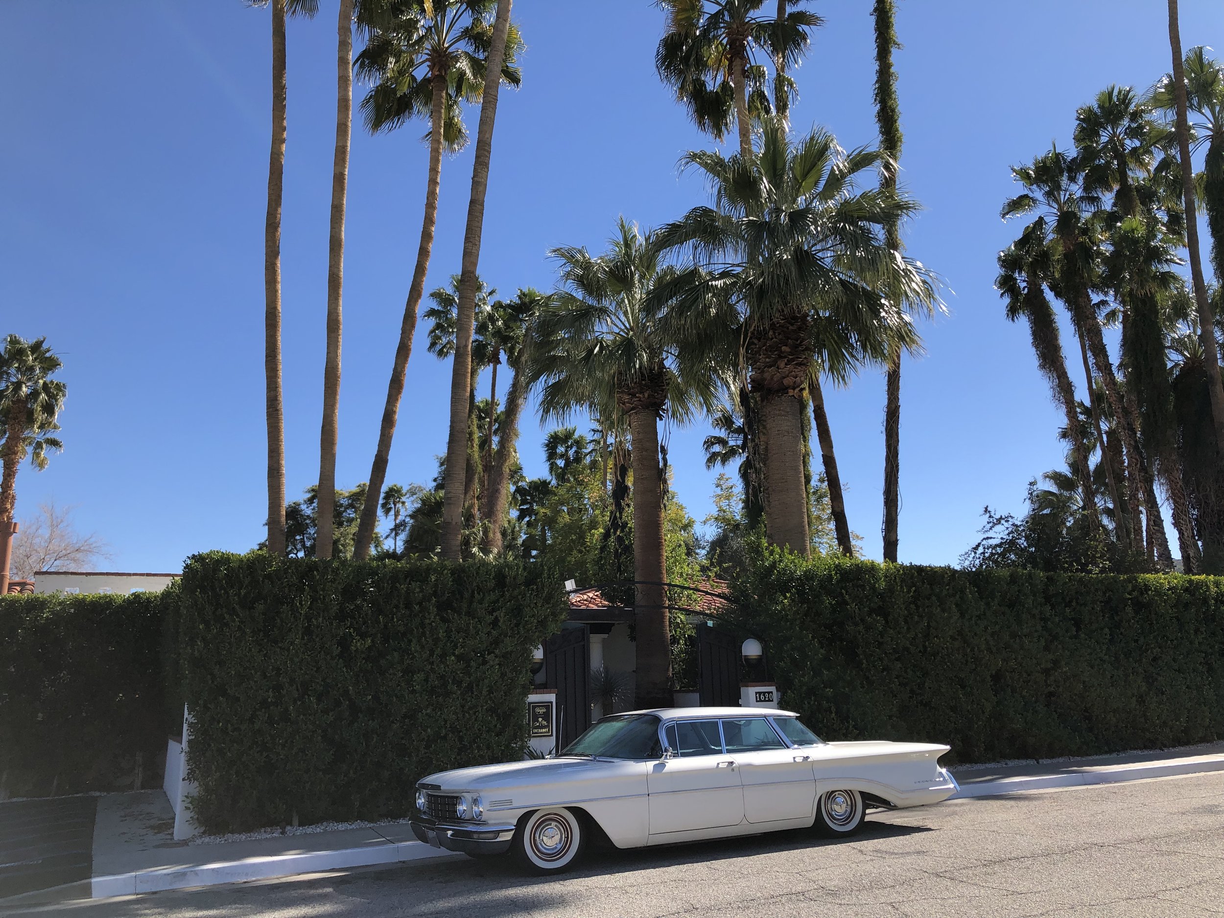 GMS Incentive_Palm Springs.jpg