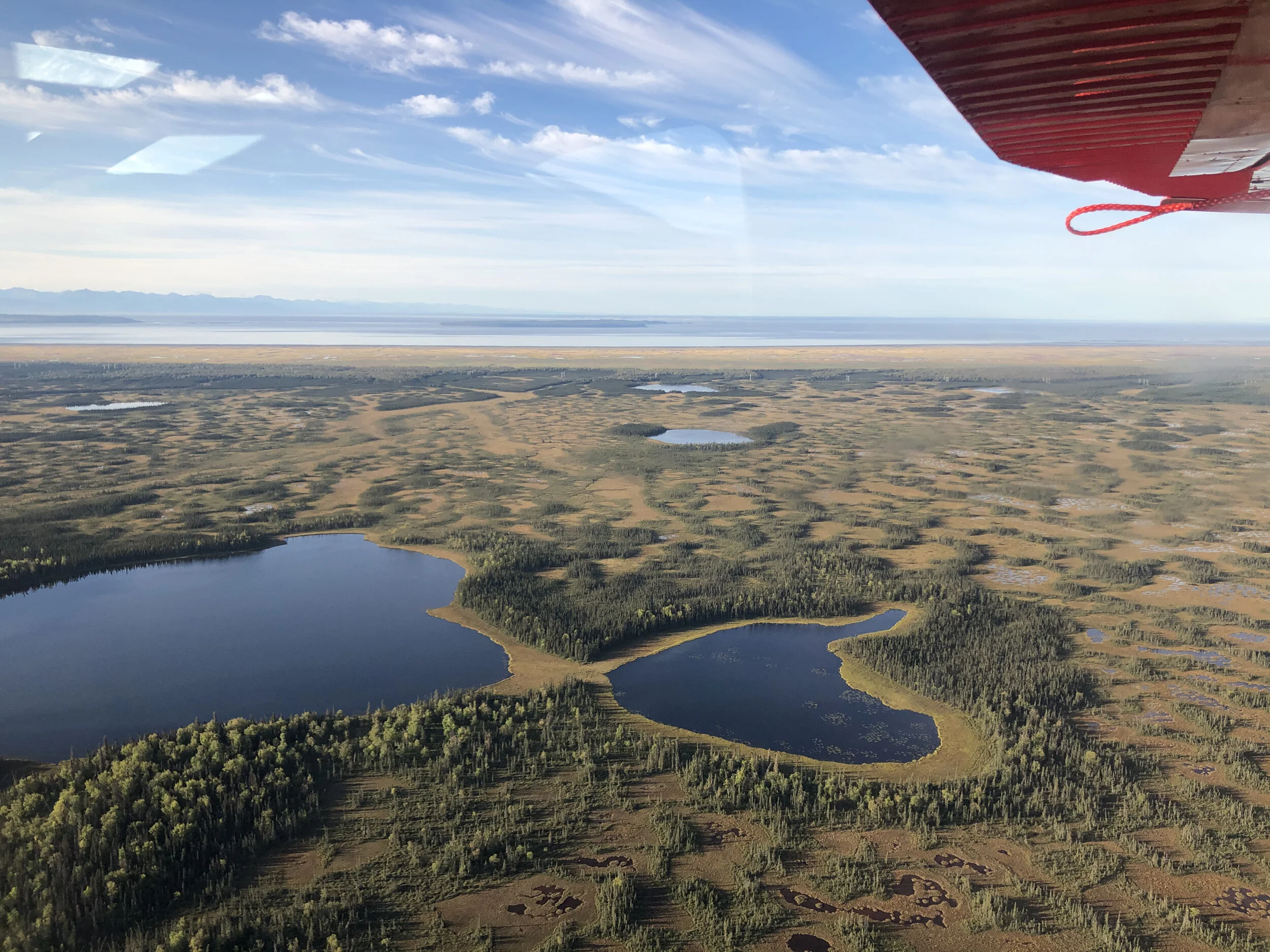 Social Distancing in the Wilderness