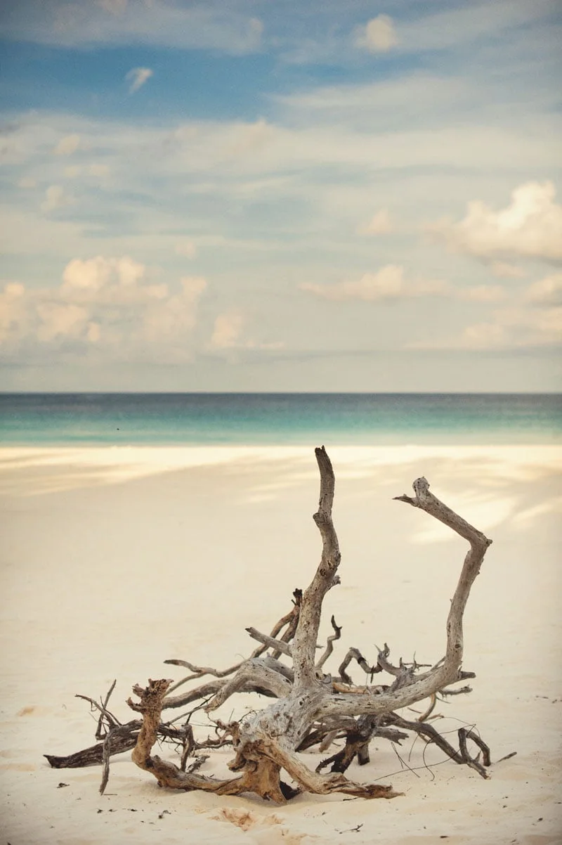harbour island wedding photographer