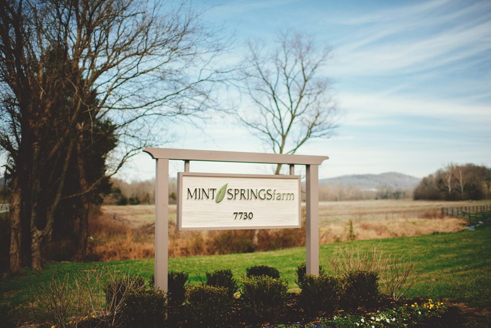 mint springs farm sign