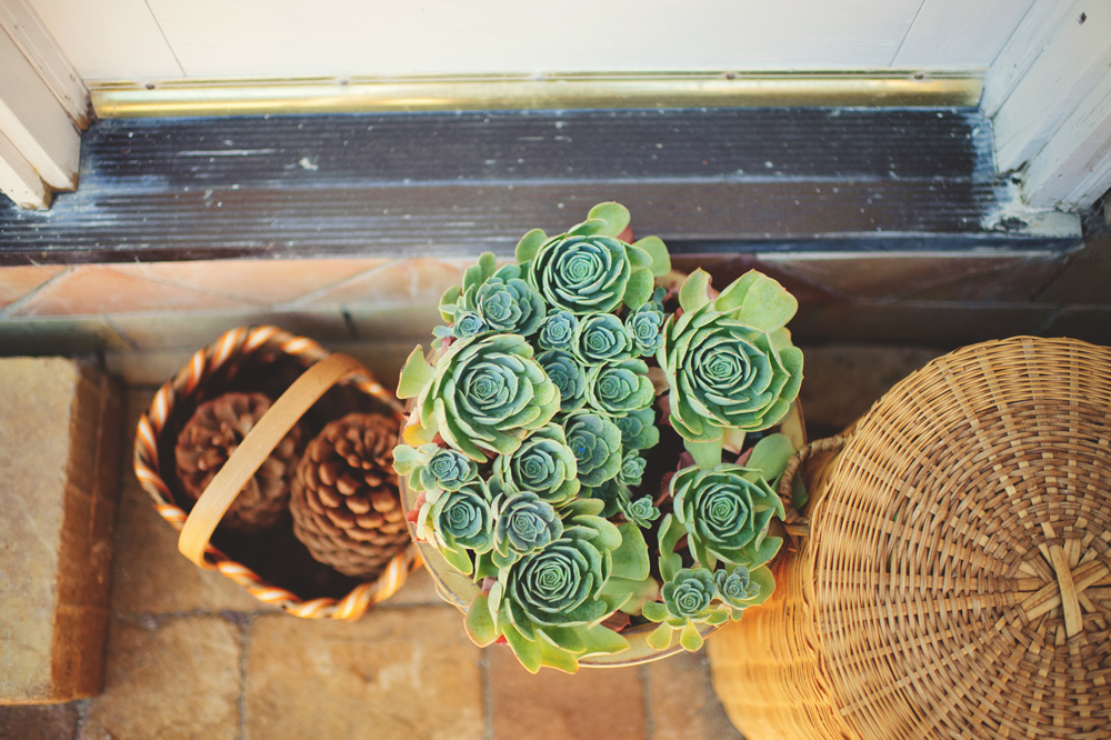 big sur wedding