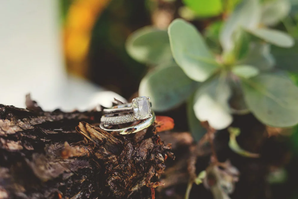 ocean view club wedding : rings