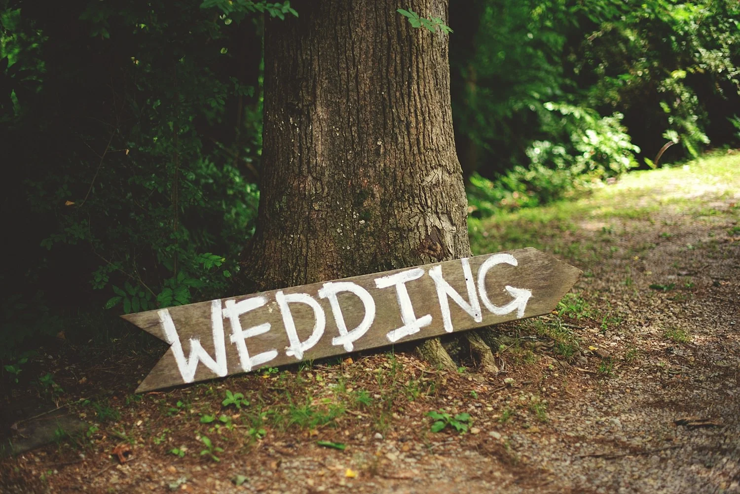 swann-lake-stables-wedding-003.jpg