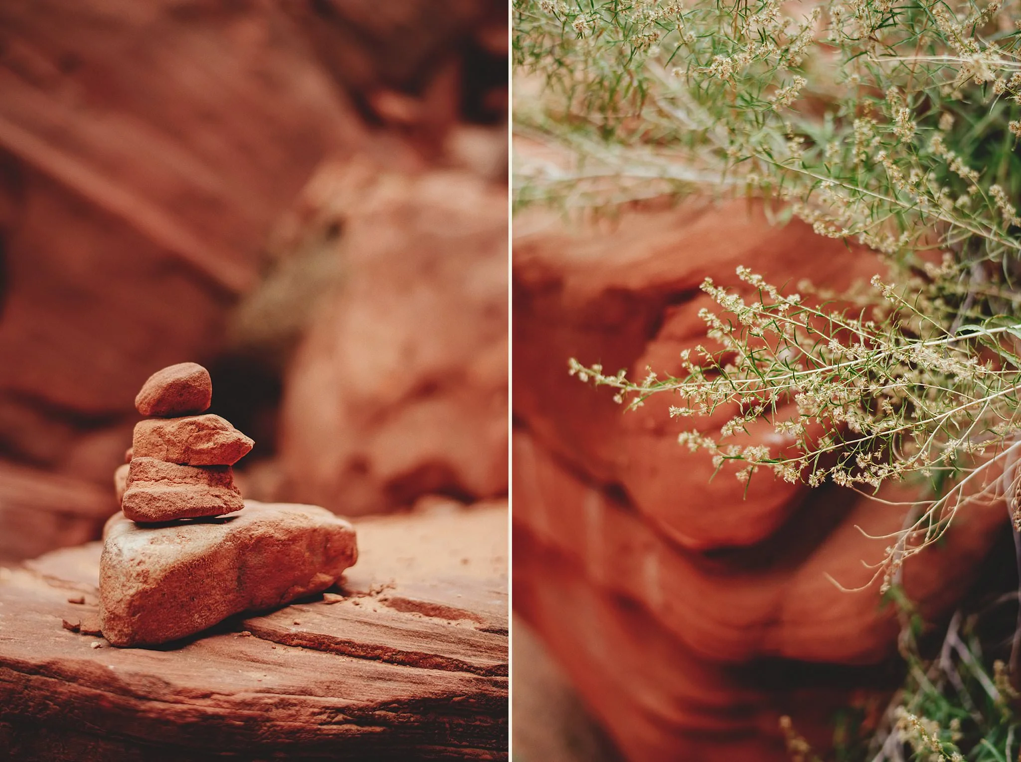 horseshoe-canyon-engagment-photos0003.jpg