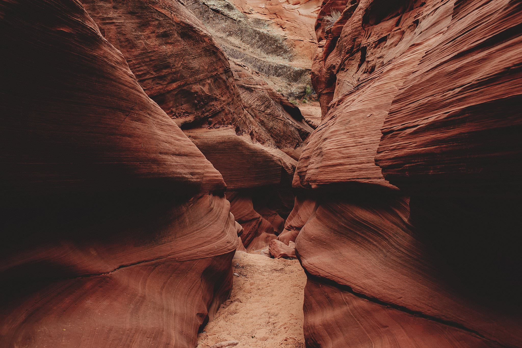 horseshoe-canyon-engagment-photos0002.jpg