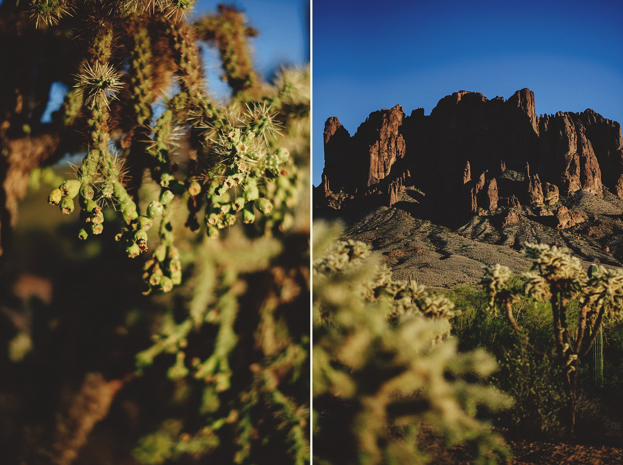 superstition-mountains-desert-engagement-photos-0013.jpg