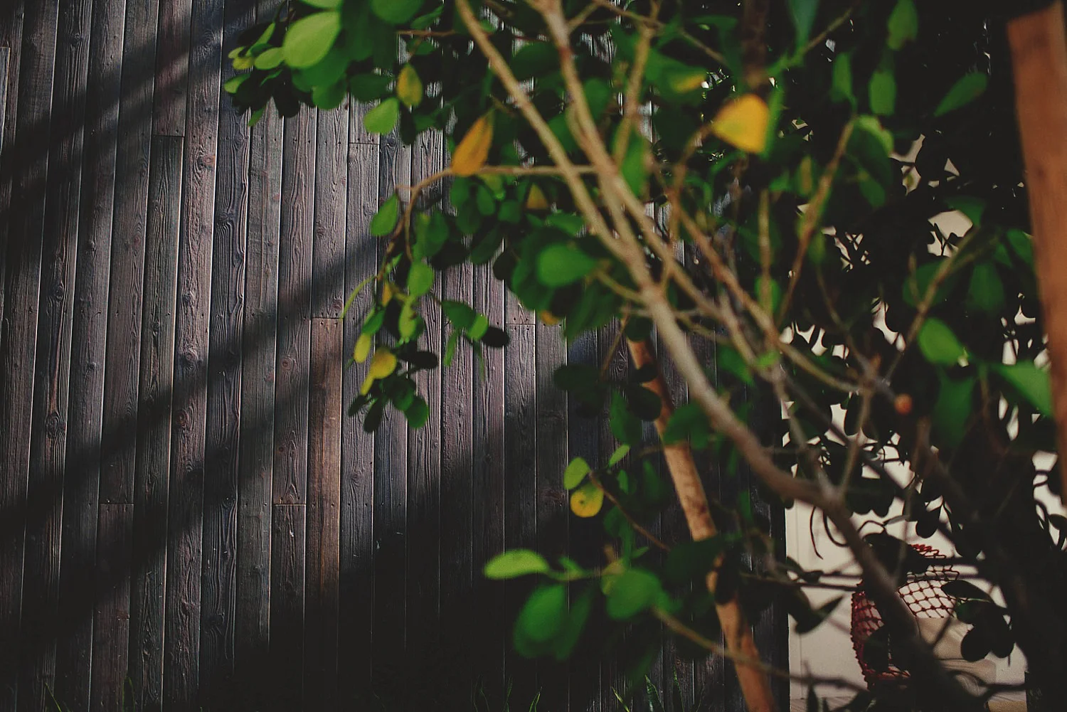romantic-w-fort-lauderdale-wedding: side of building