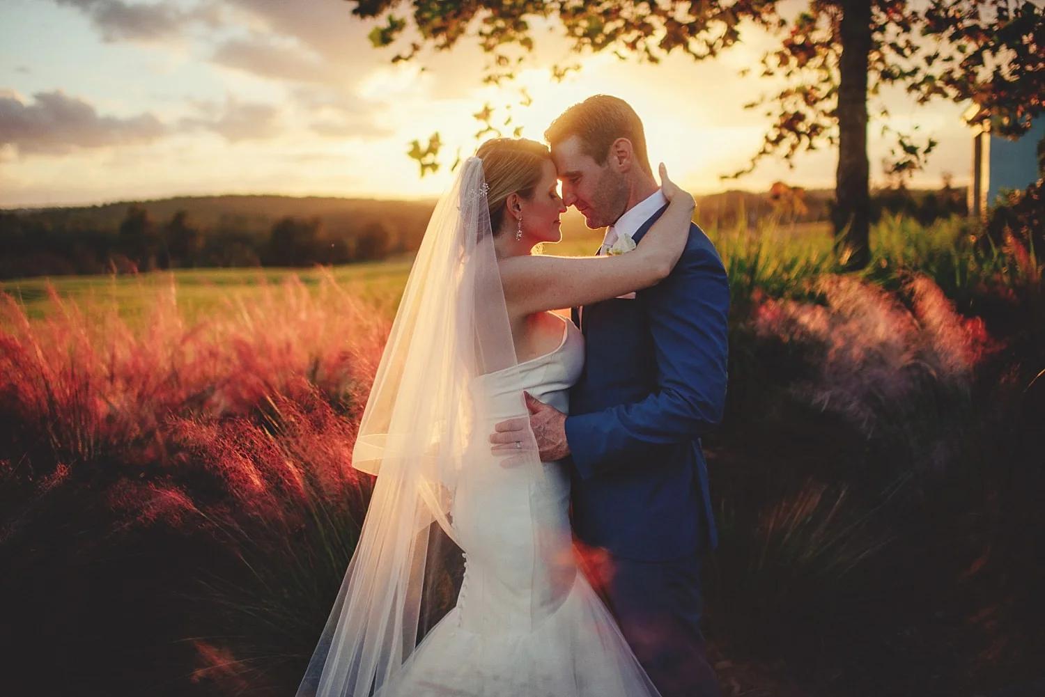 bella collina wedding photos