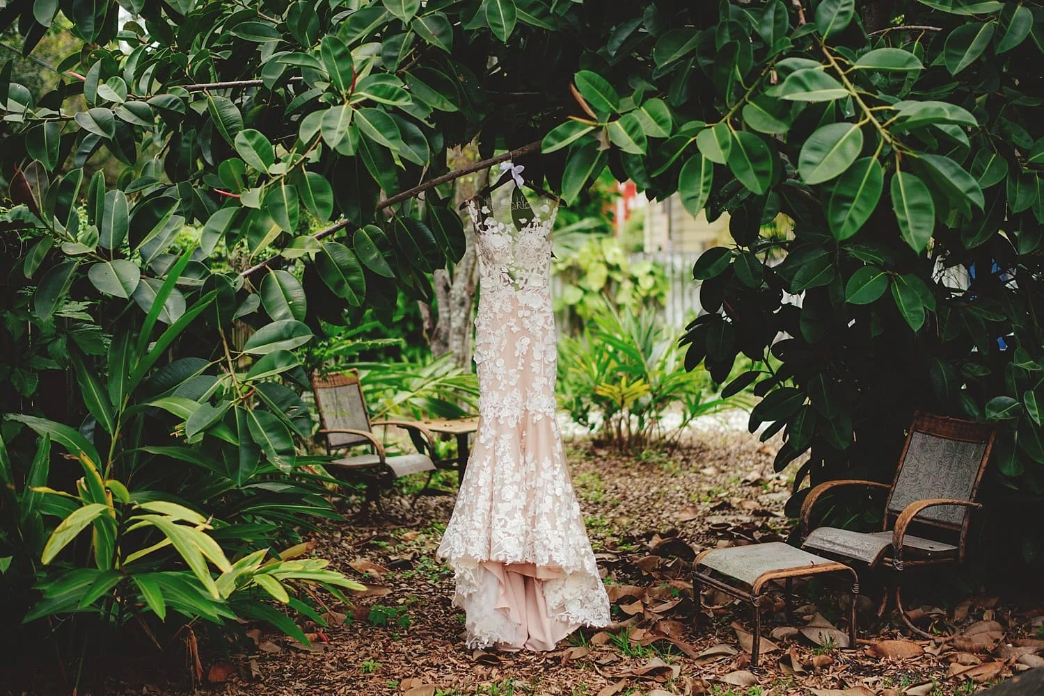 Sunken Gardens Wedding St Petersburg Fl Jason Mize