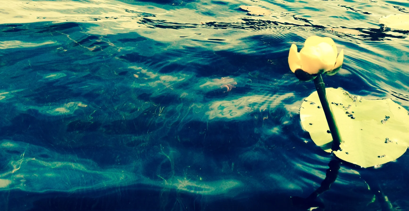 File Aug 27, 2 22 59 PM.jpeg