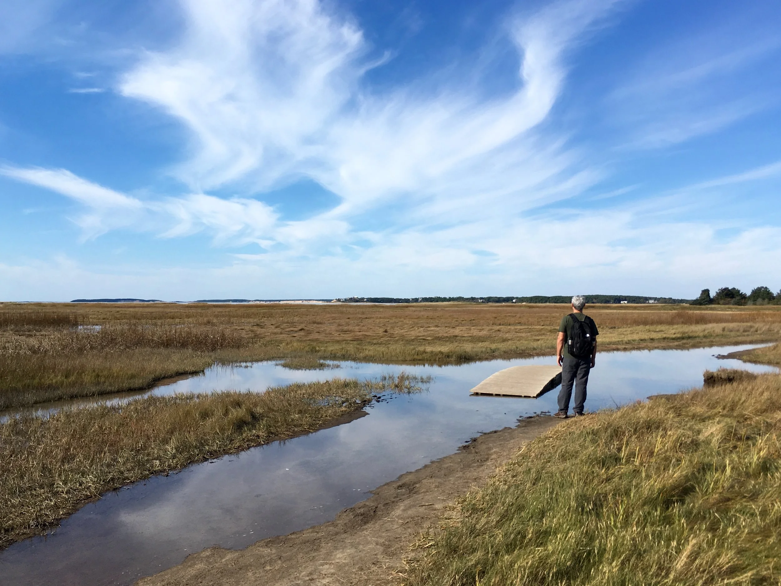 Explore your inner landscape with body sensing meditation