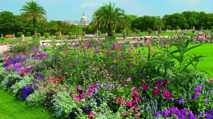 Jardin lux métro.jpeg