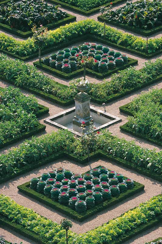 chateau_jardin_villandry_potager.jpg