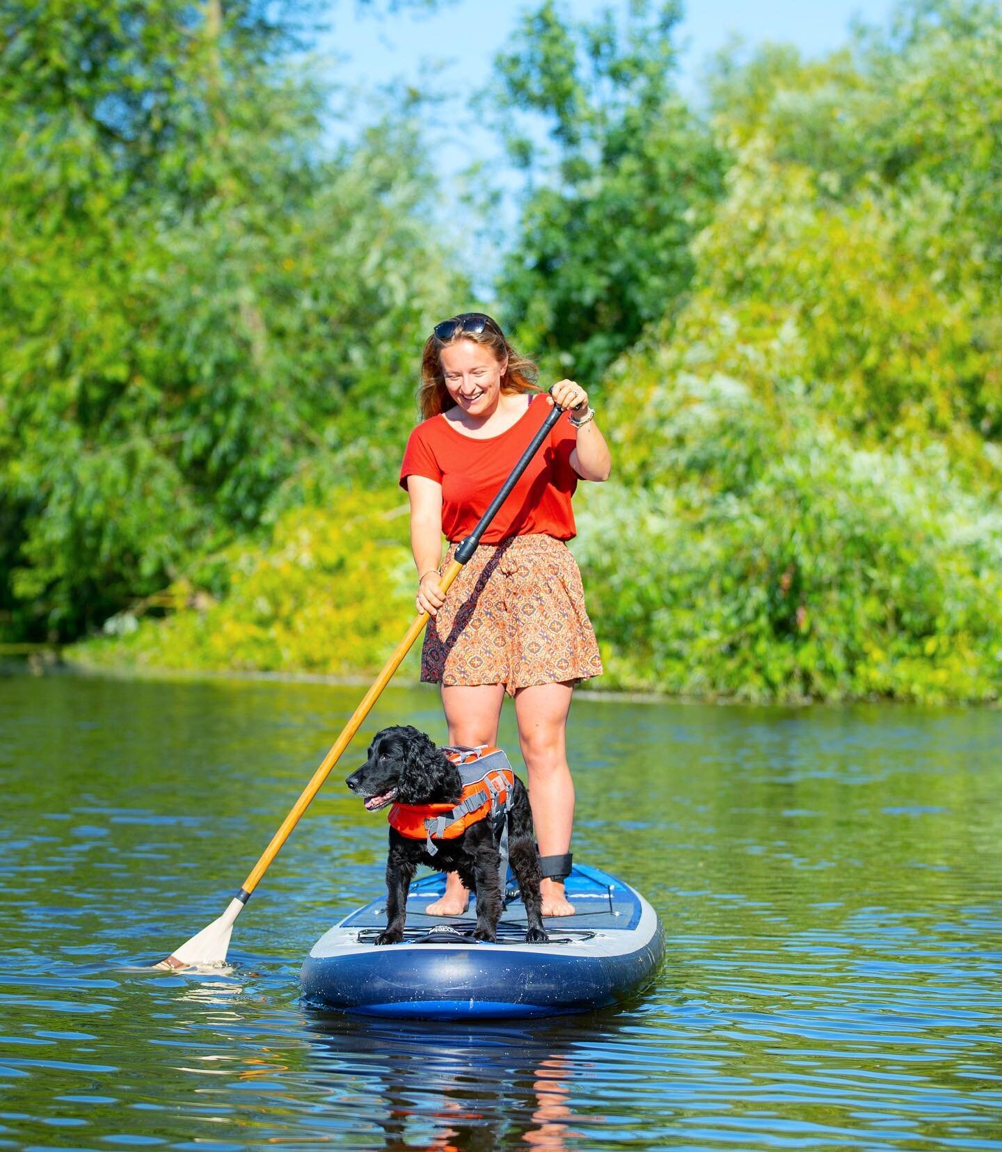 Evey the paddle boarding wonder Dog! With a human.
.
.
.
#paddleboarding #paddleboard #paddleboardingadventures #paddleboarddog #dog #spaniel #river #sup