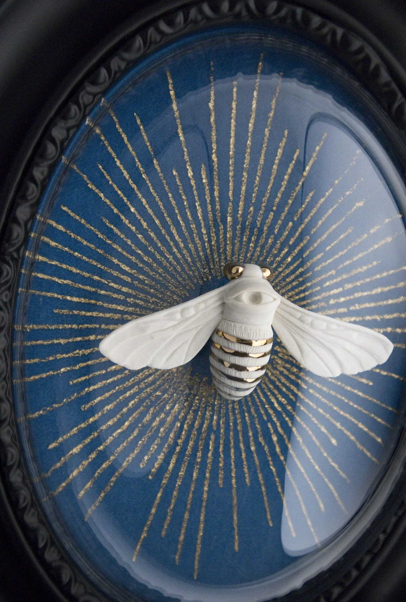 bee blue black close.jpg