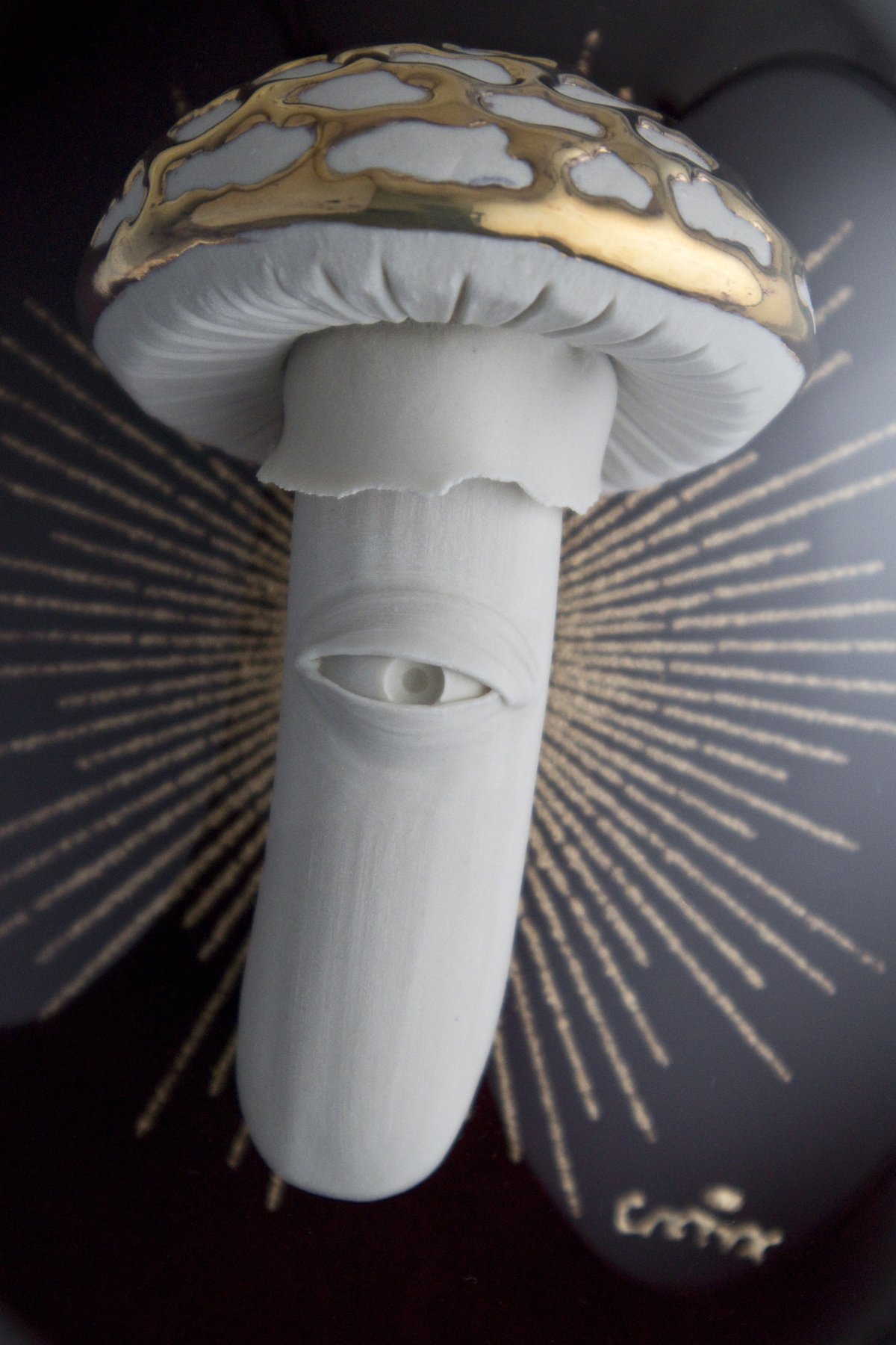 amanita close 1.jpg