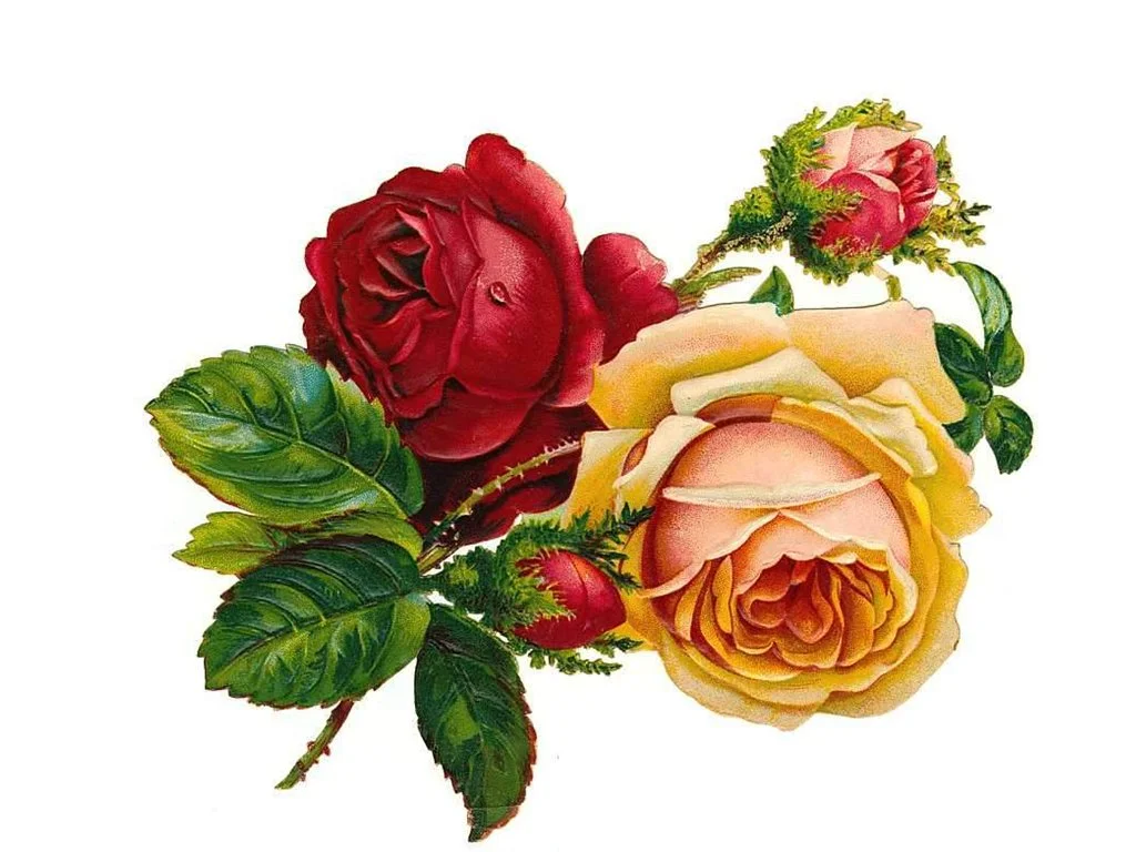 Vintage-Rose-Wallpaper-3.jpg