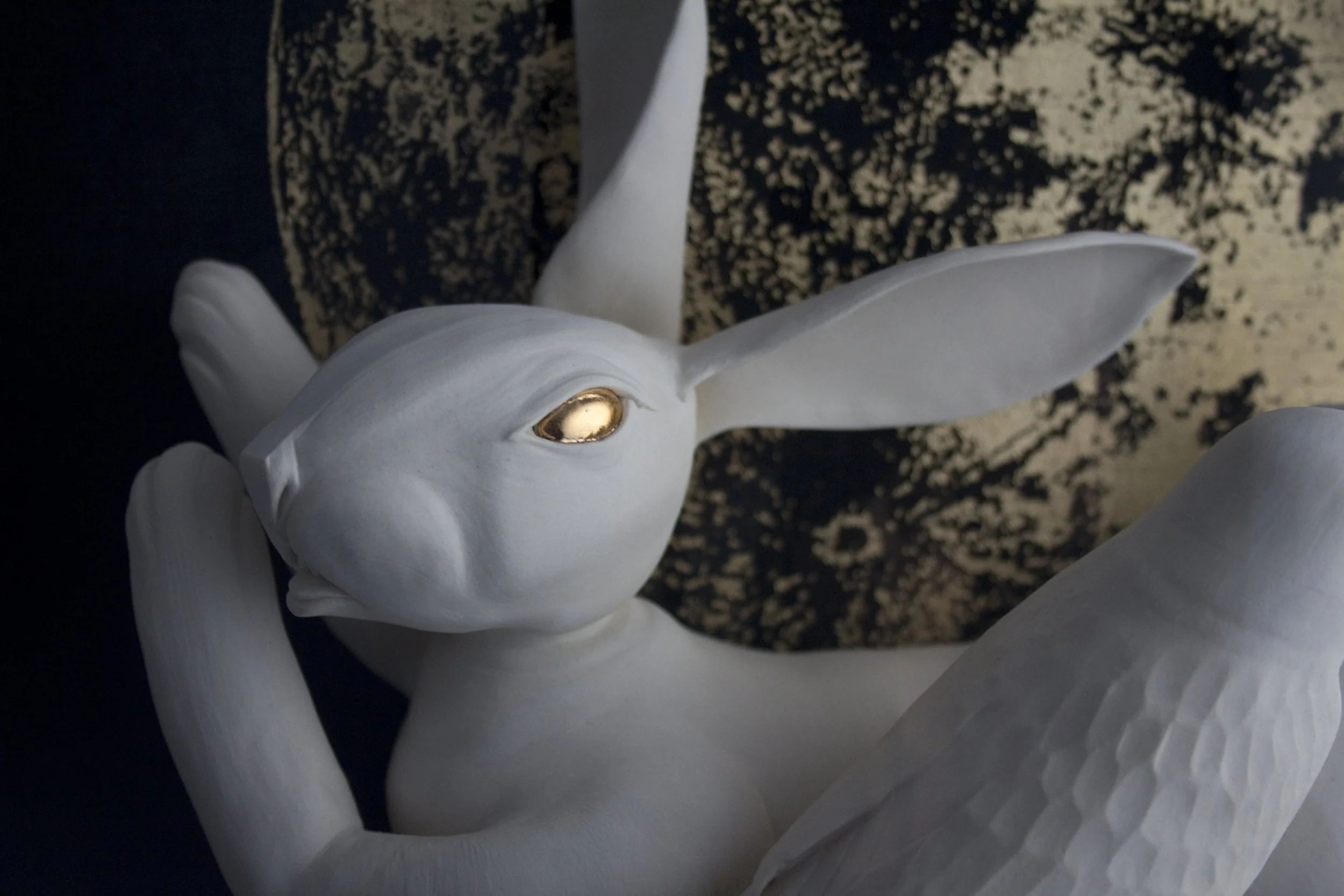 Rabbit head mid.jpg