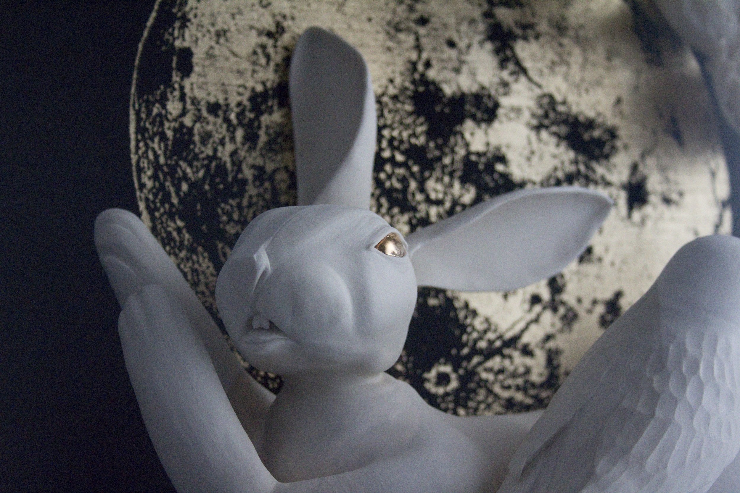 Rabbit face mid up.jpg