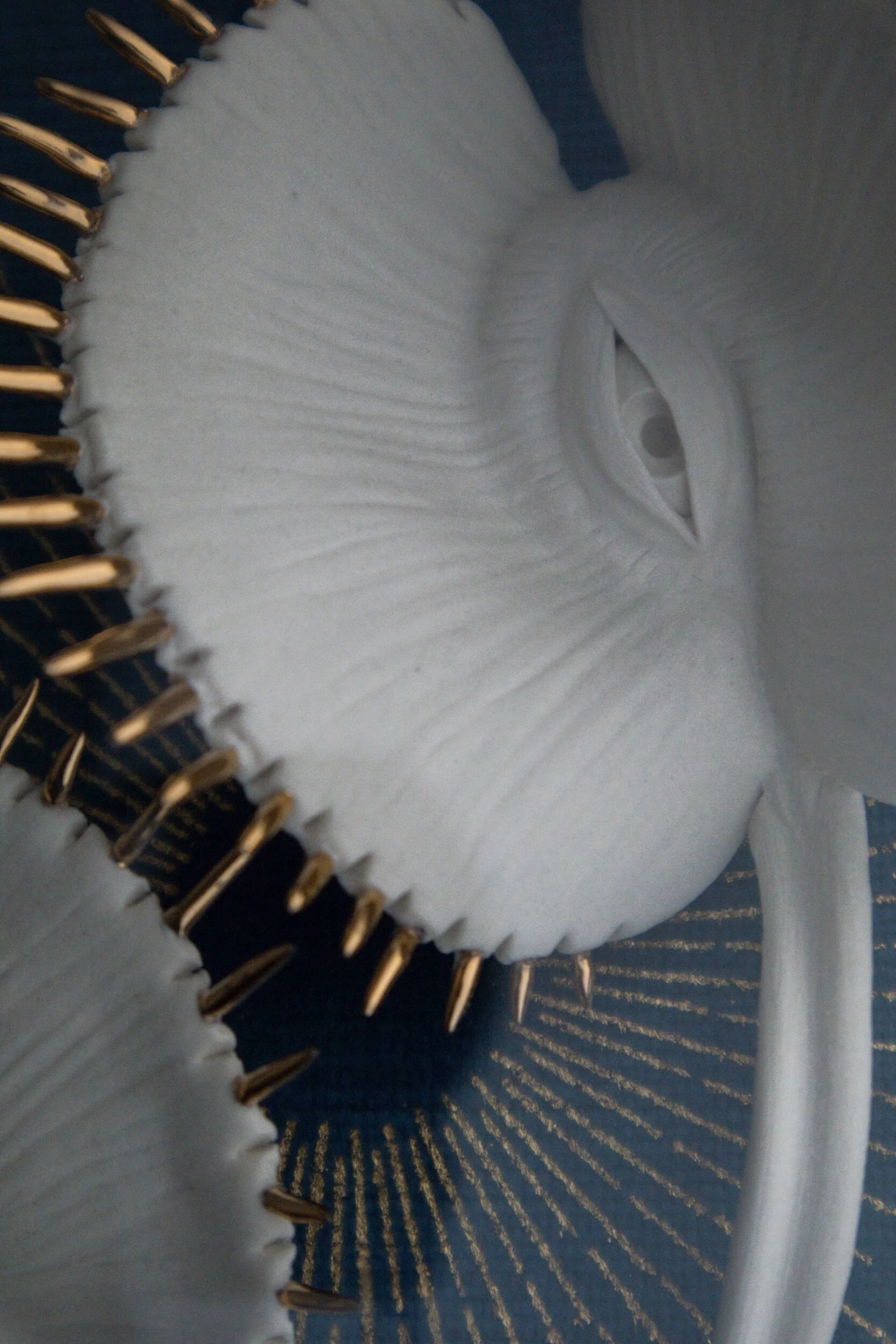 DCC3E760-37D3-4A6B-9978-19E1833F51CF