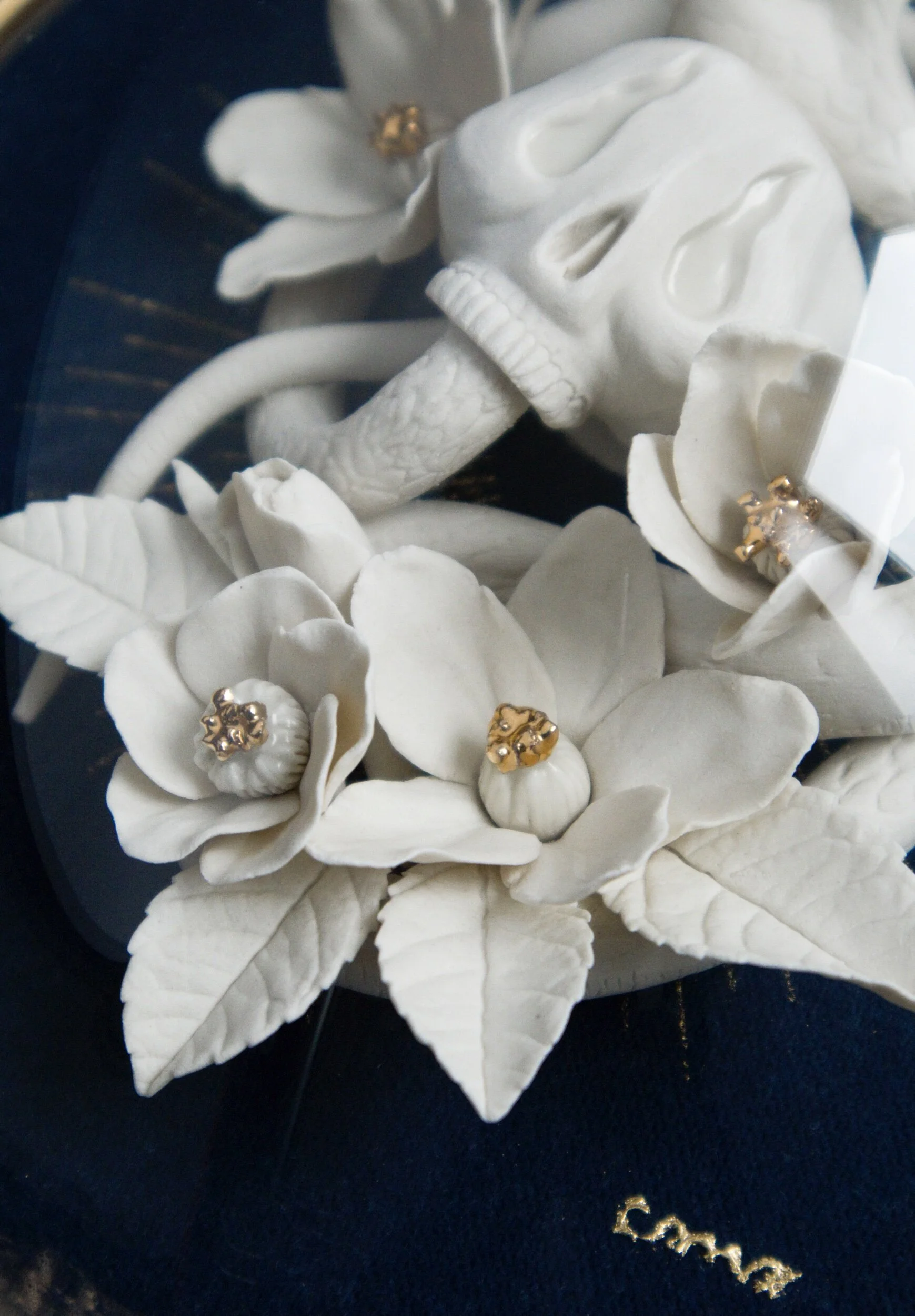 FD2B1E00-BBBF-431F-889D-E9379657D83B