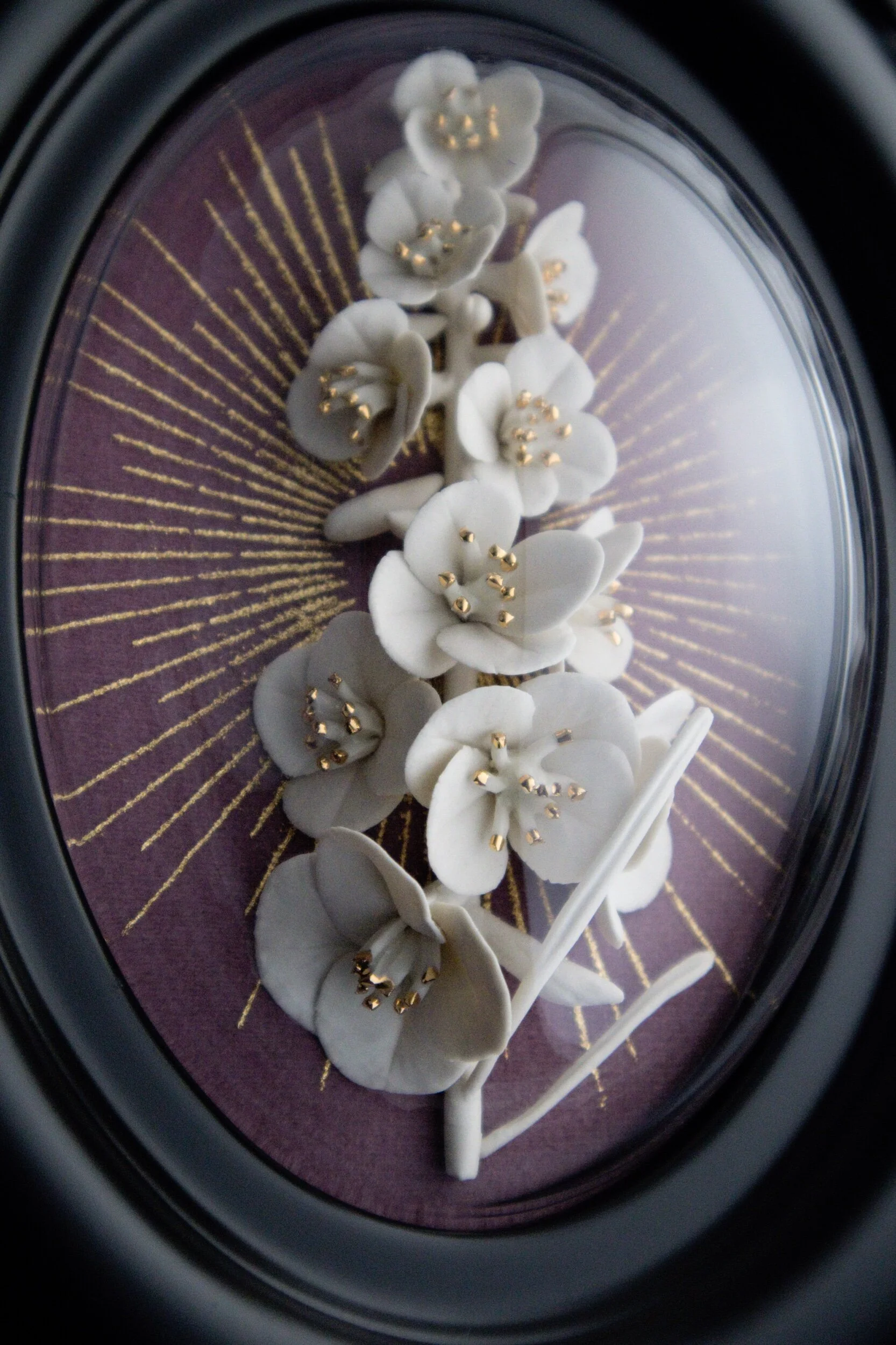 7C7B85E0-053D-4283-980E-E5CC4B5F03AF