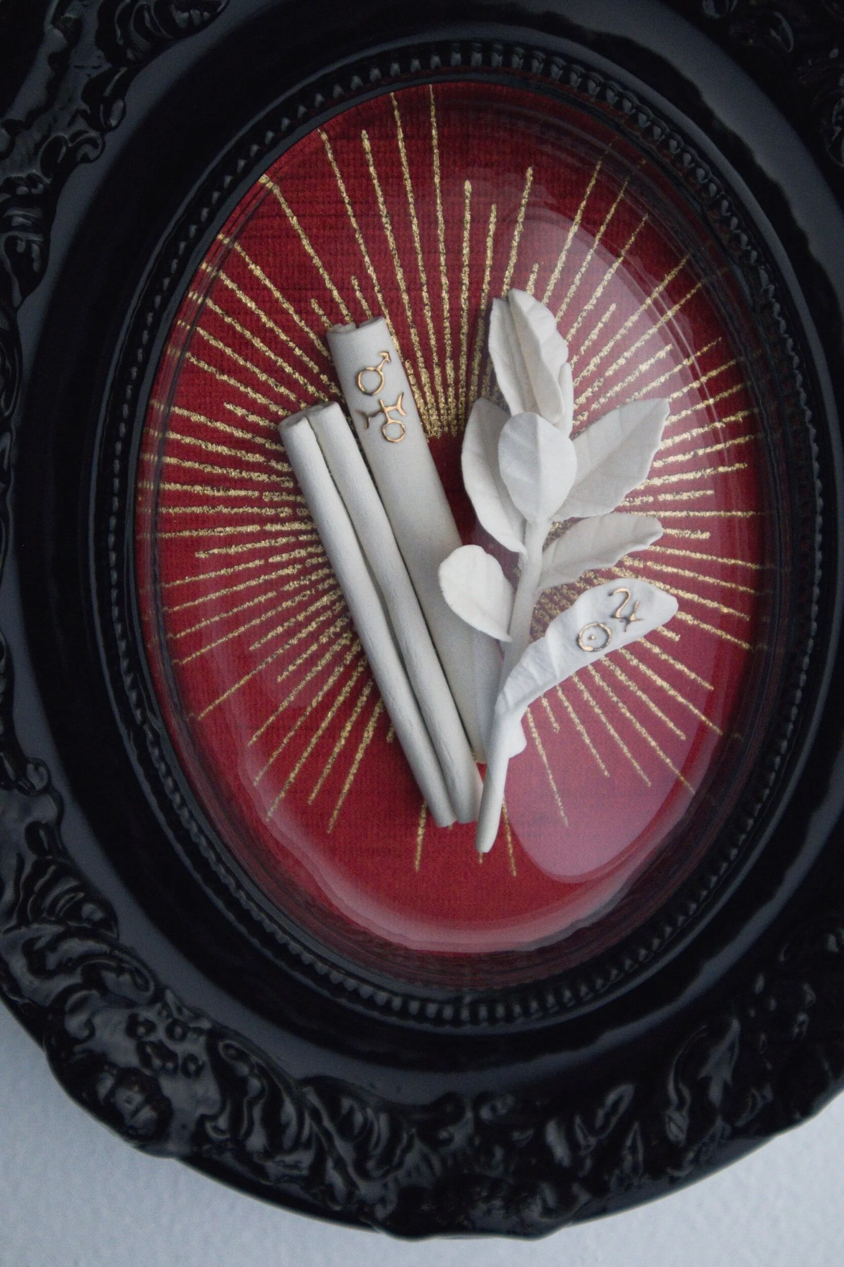 B9F3F803-6A86-46A2-B25F-4CB749D76F5D