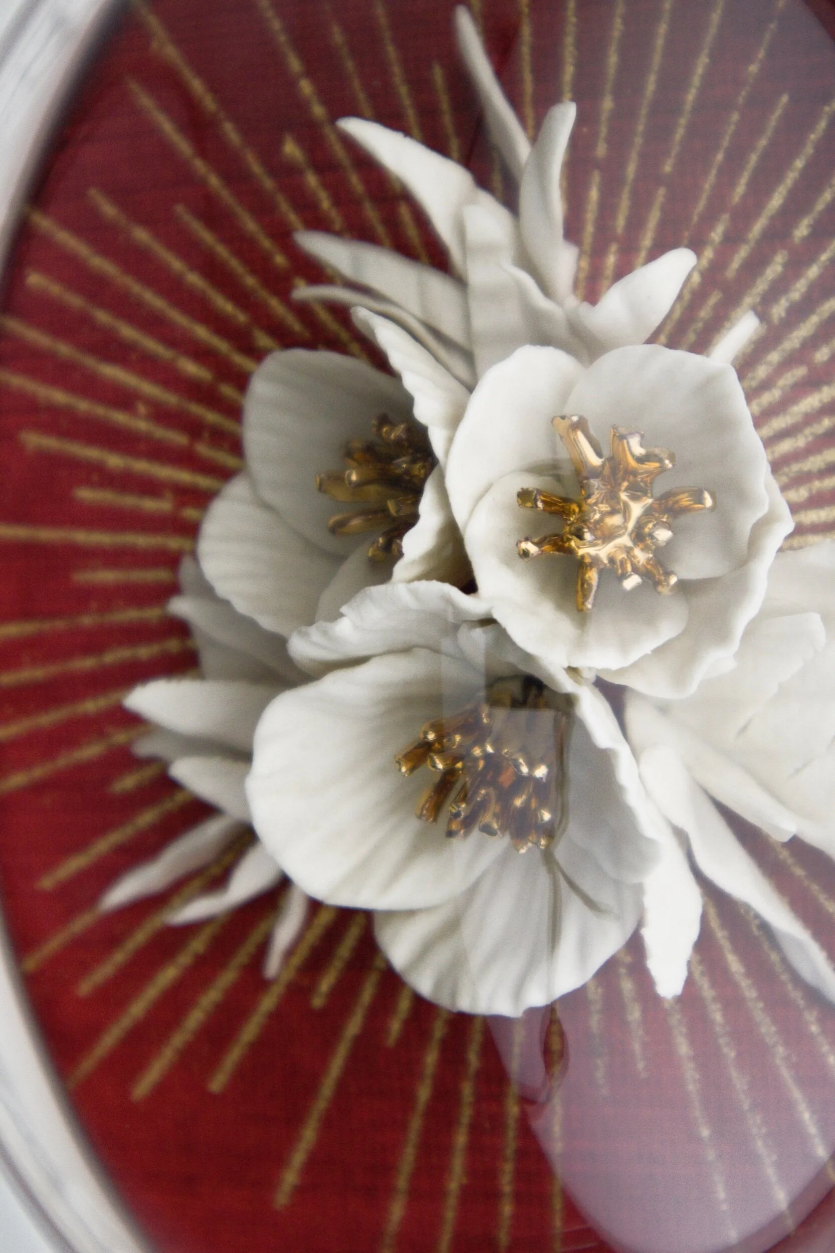 9665619F-FD85-4D46-A882-3528456EDFDE