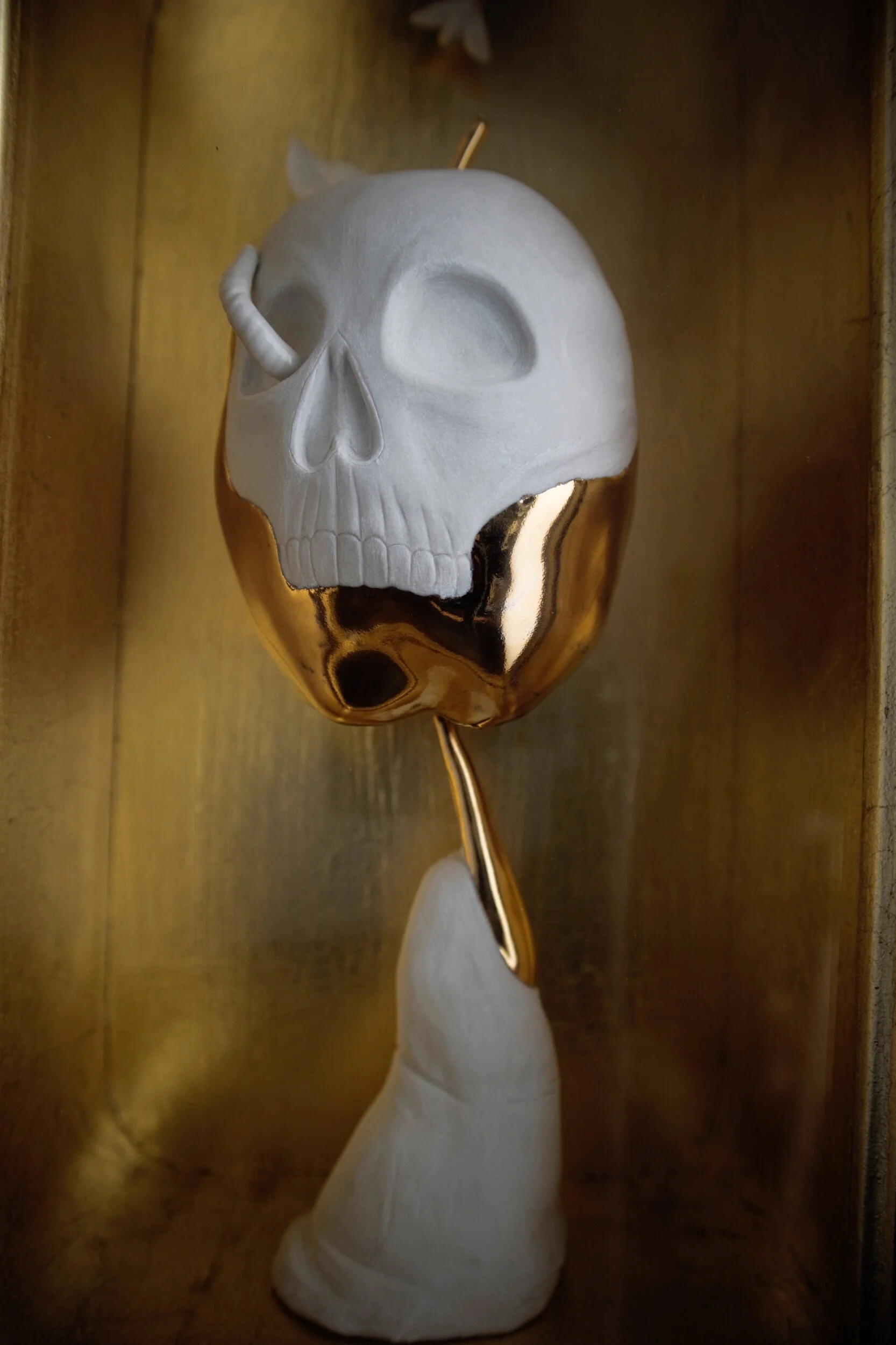 A1F286FD-5D33-4785-9161-1060EE1127AE