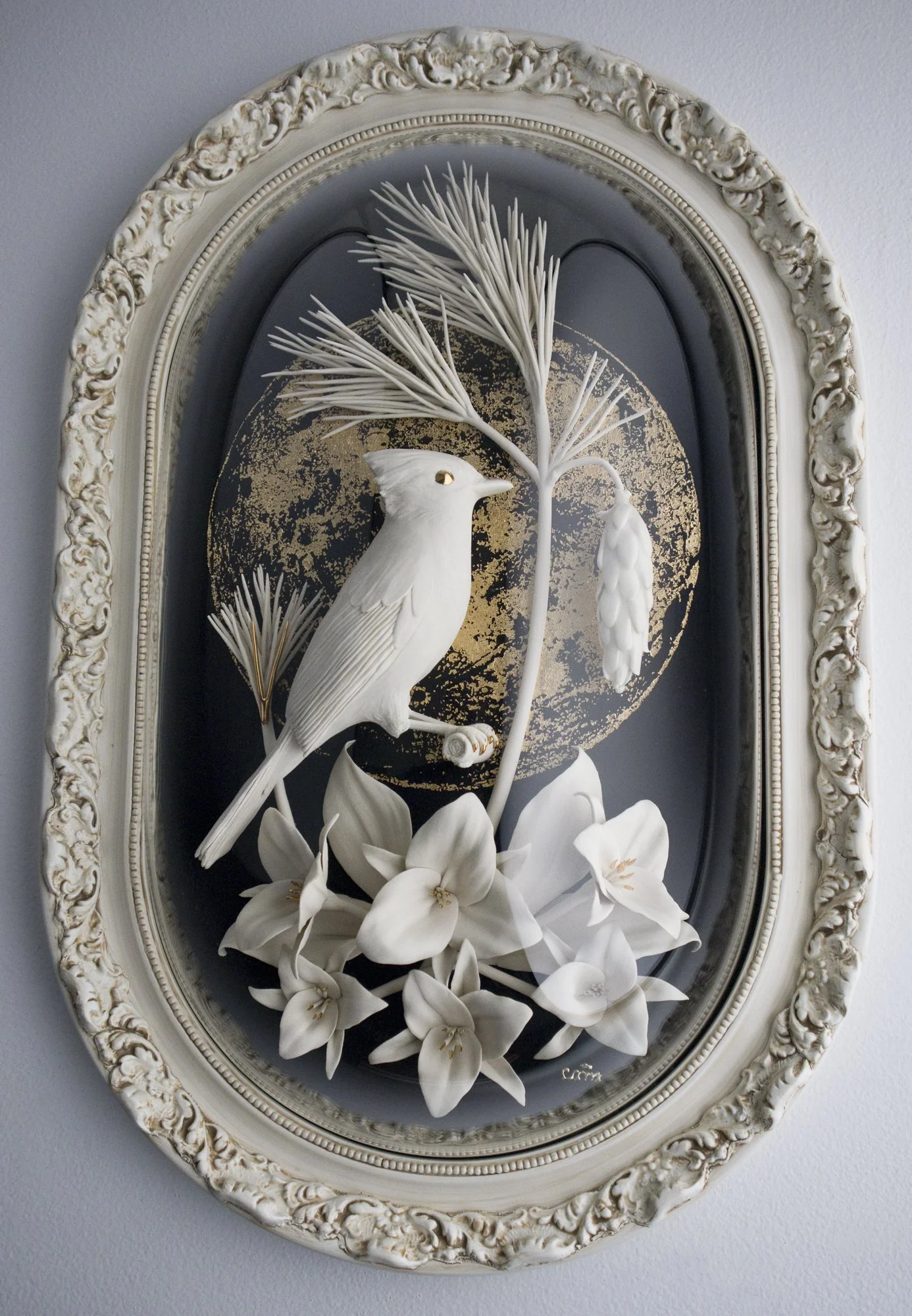 Blue-Jay1.jpg