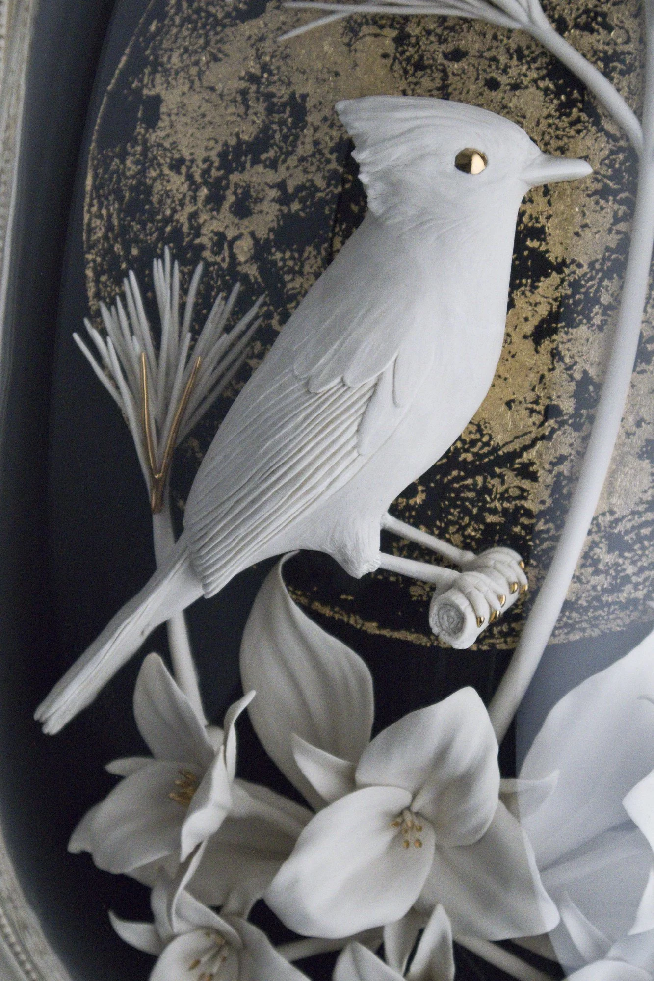 blue-jay4.jpg