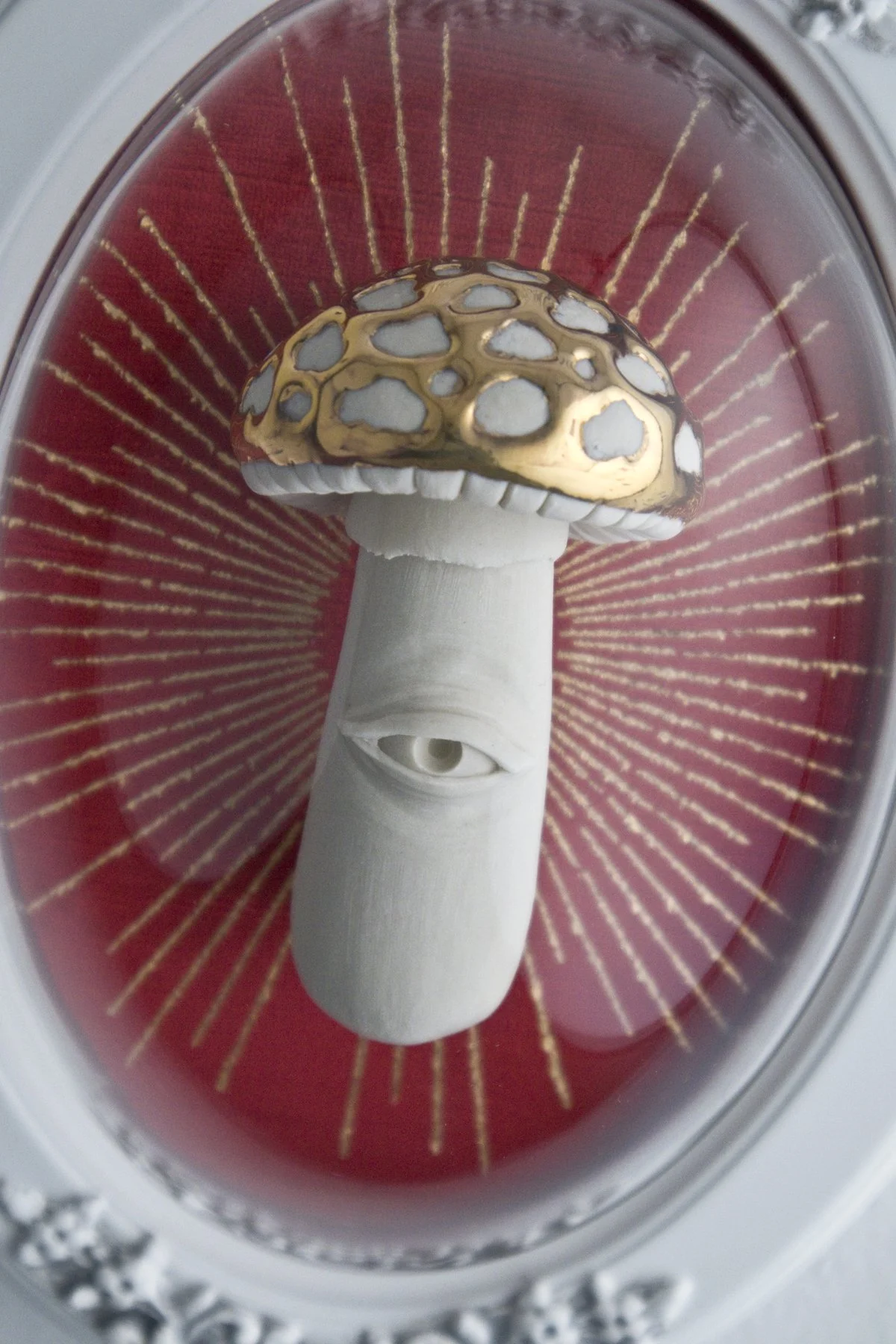 amanita vclose1.jpg