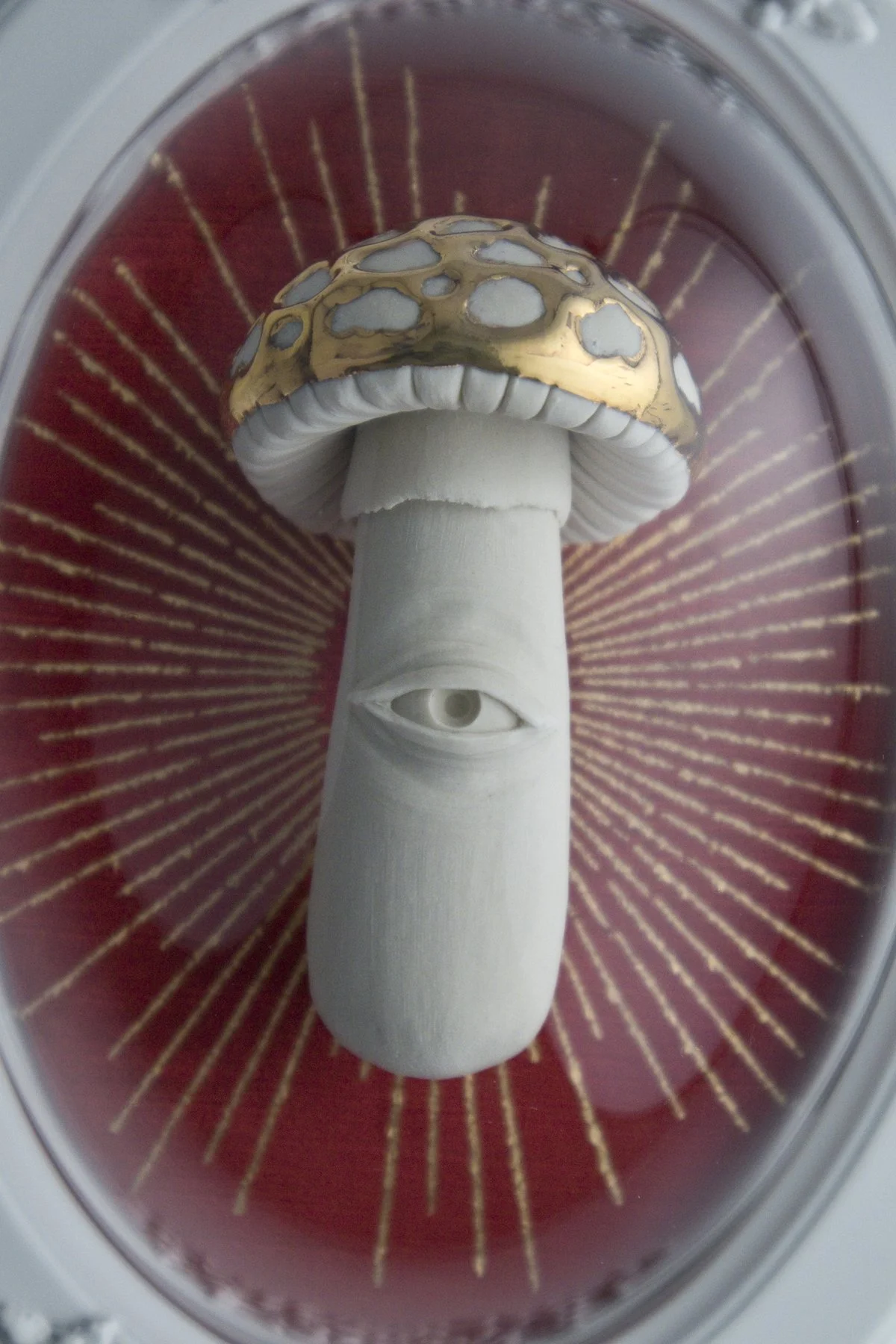 amanita vclose.jpg