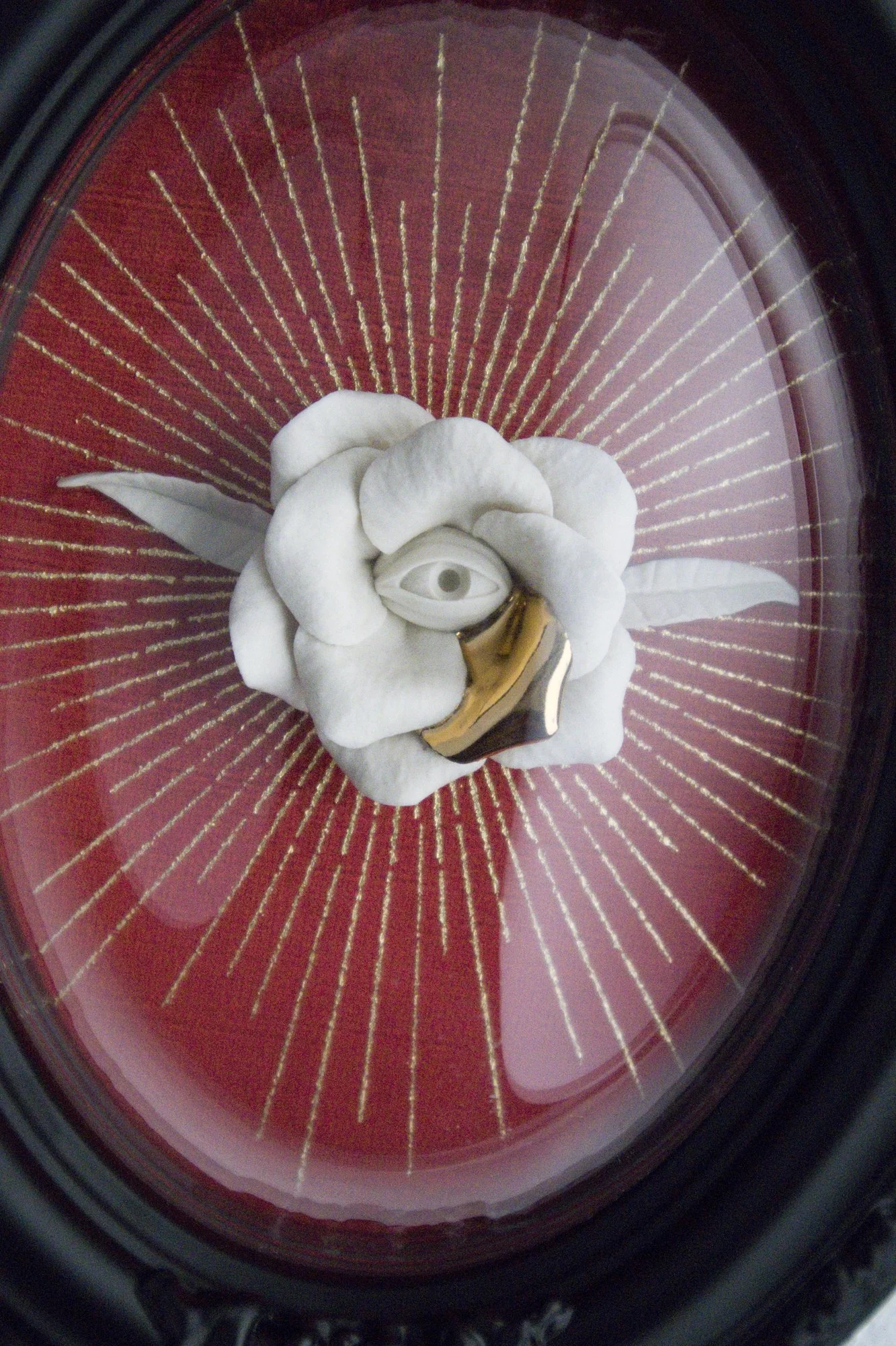 blooming eye red and black close.jpg