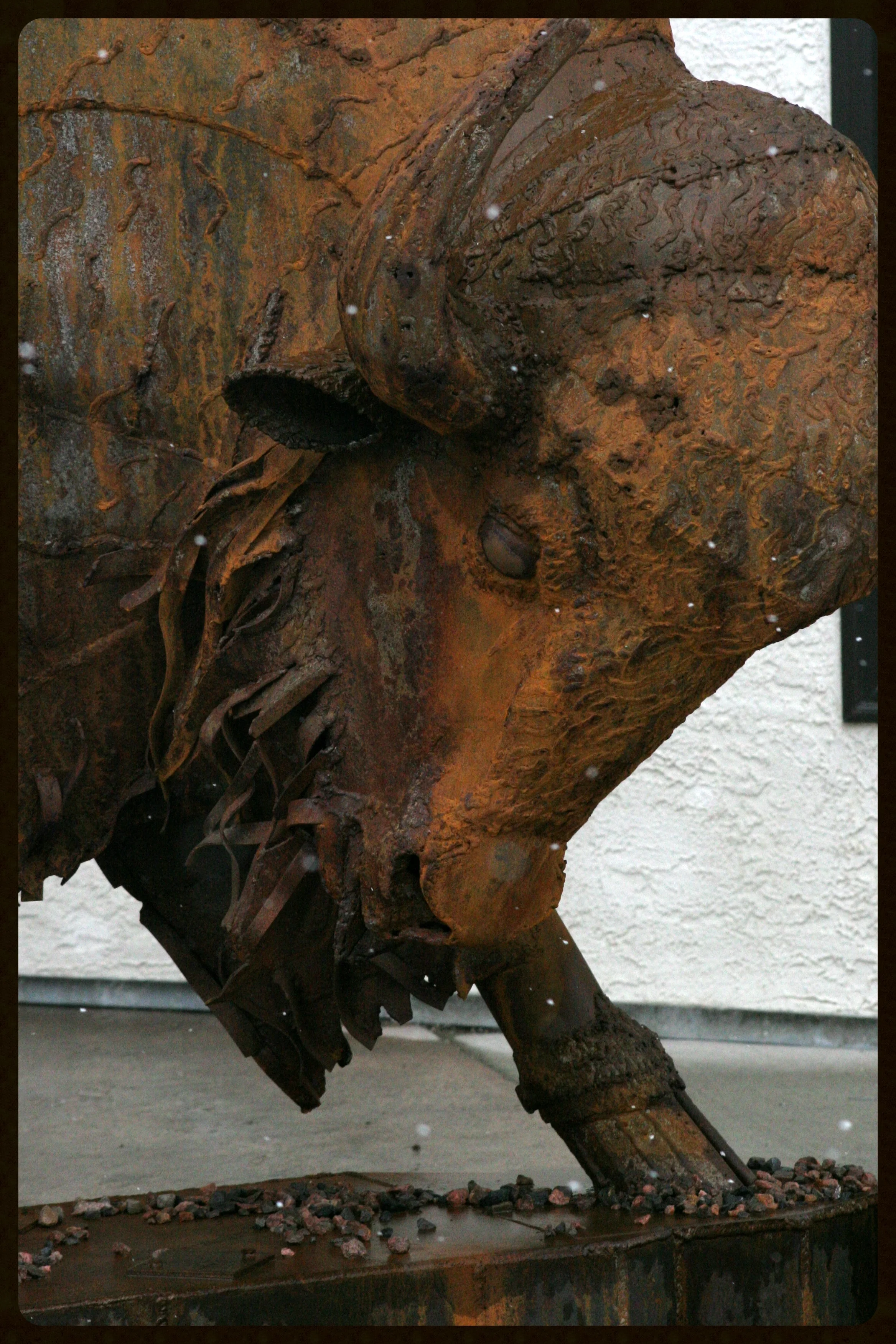 299-sheldonart 508.jpg