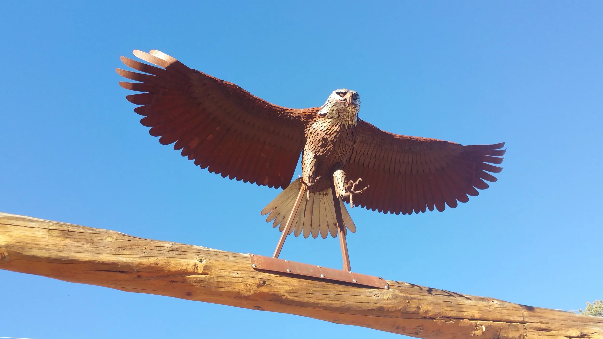 20151122_143927 (2).jpg