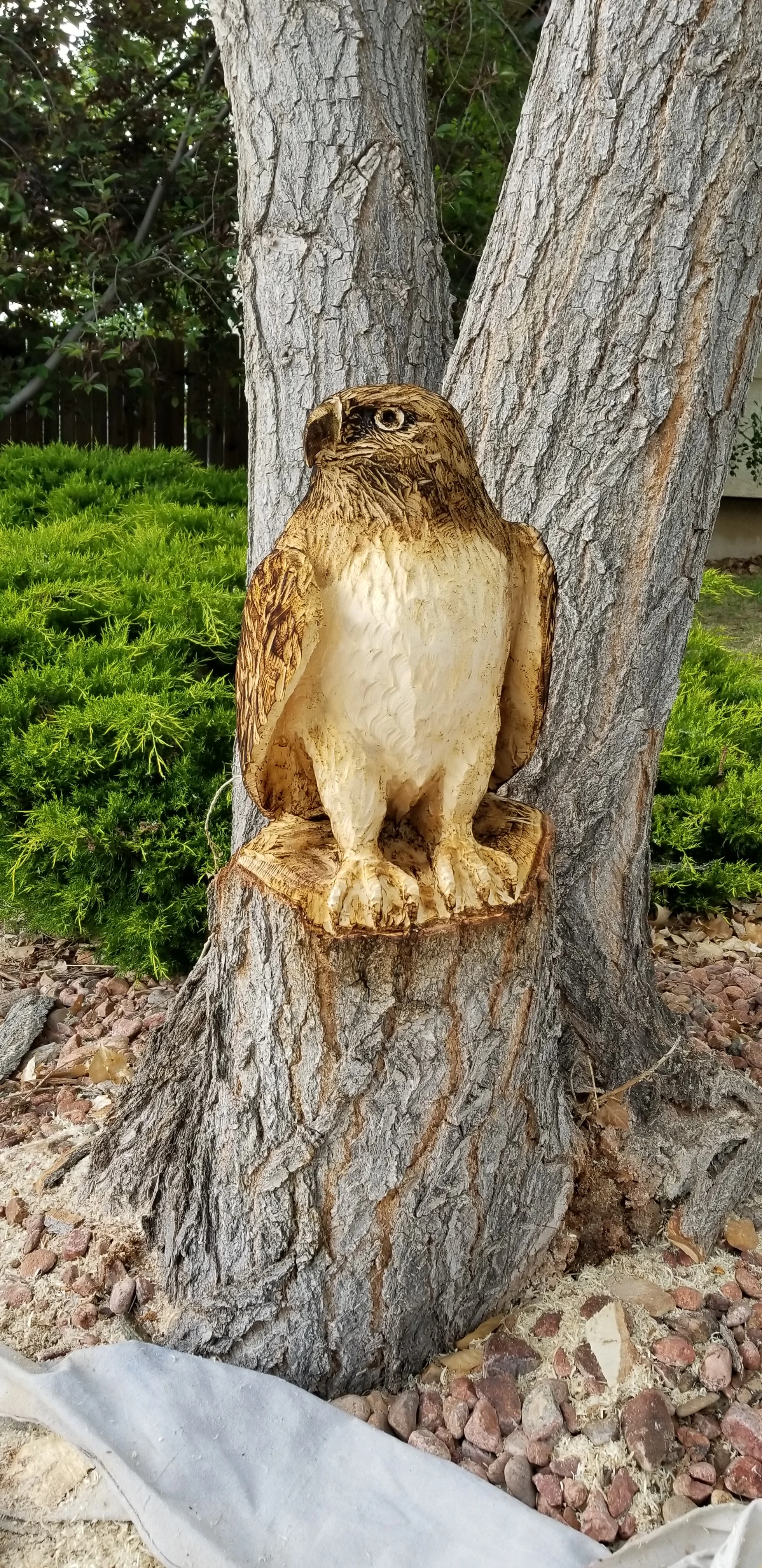 20180528_152509 (1).jpg