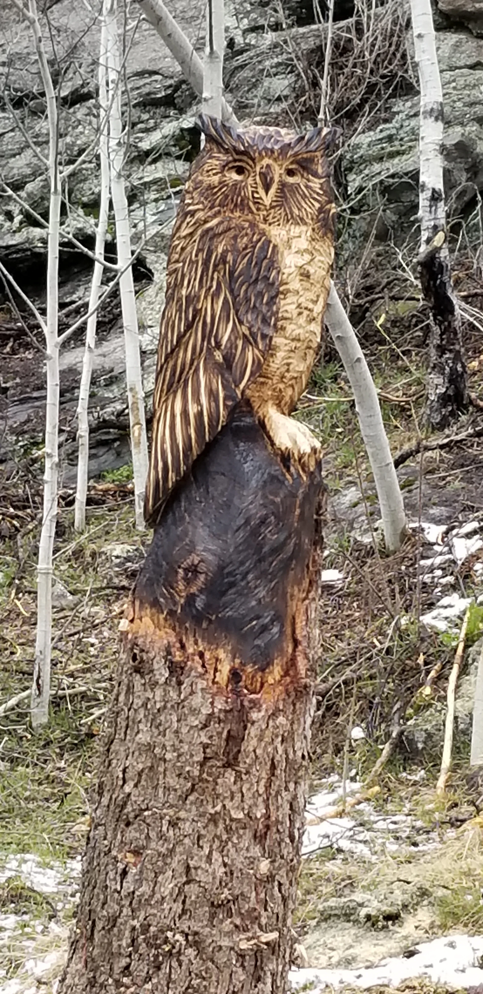 20180502_113607 (1).jpg