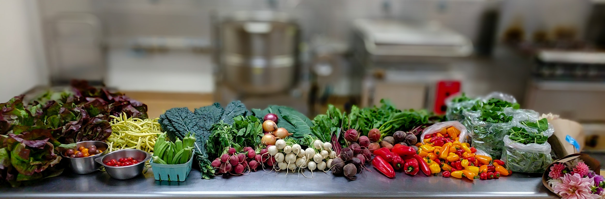 2017-10-04 PFAP Veg Display-037.jpg